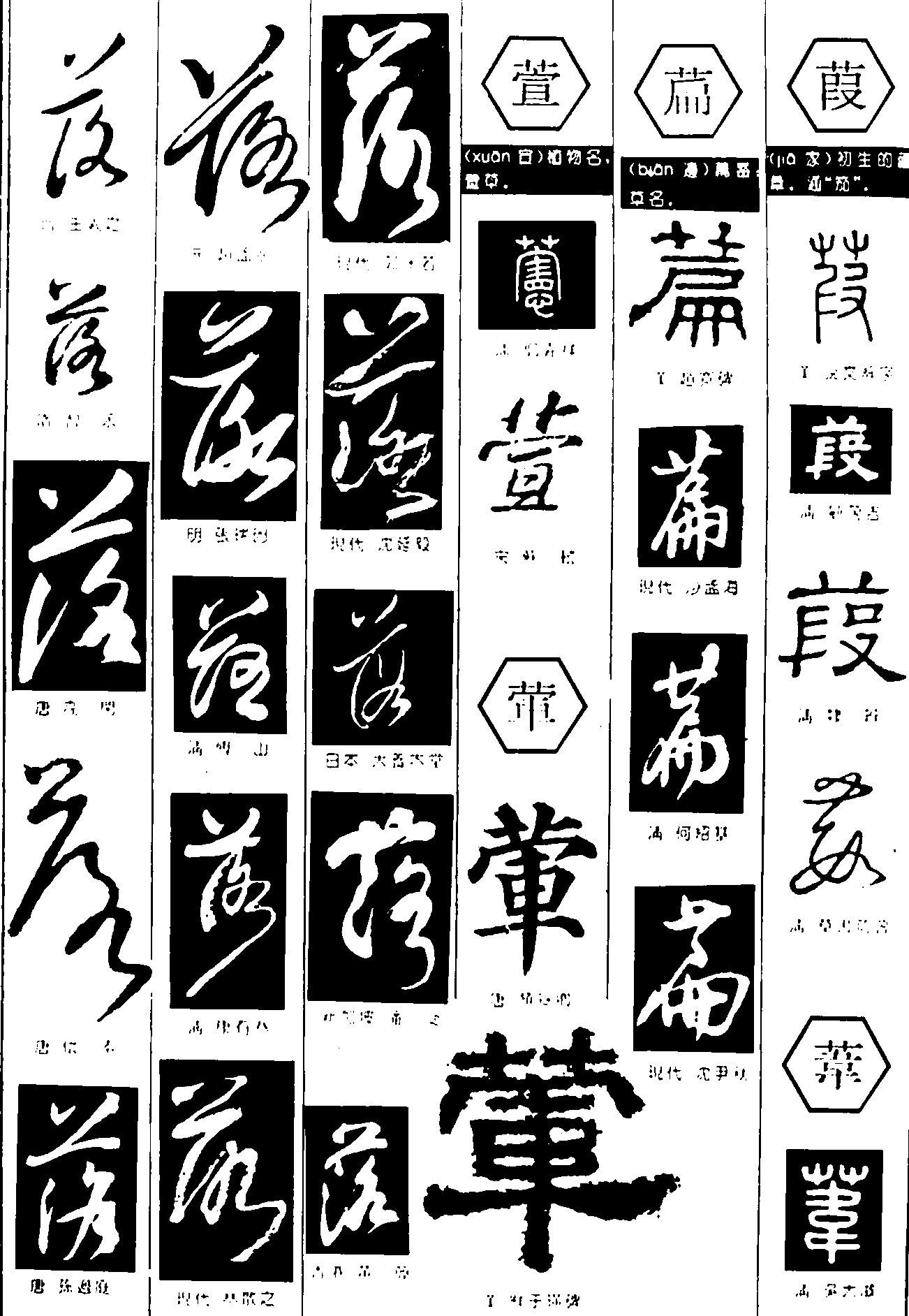 落萱荤扁葭苇