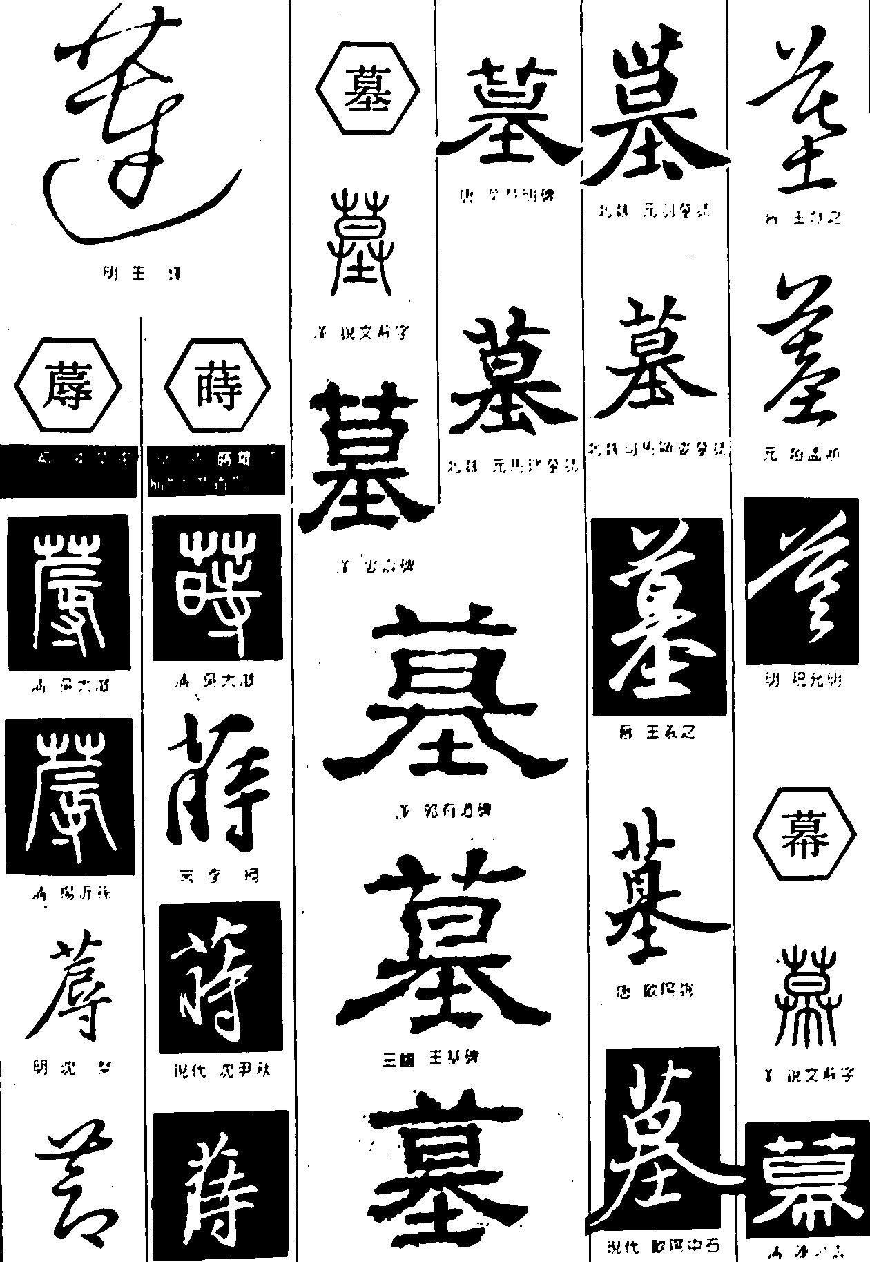 莲蓐莳墓幕