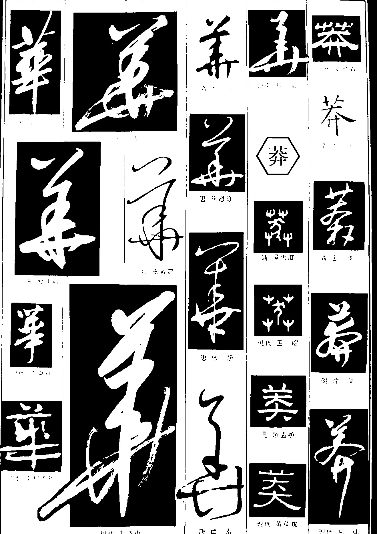 华莽