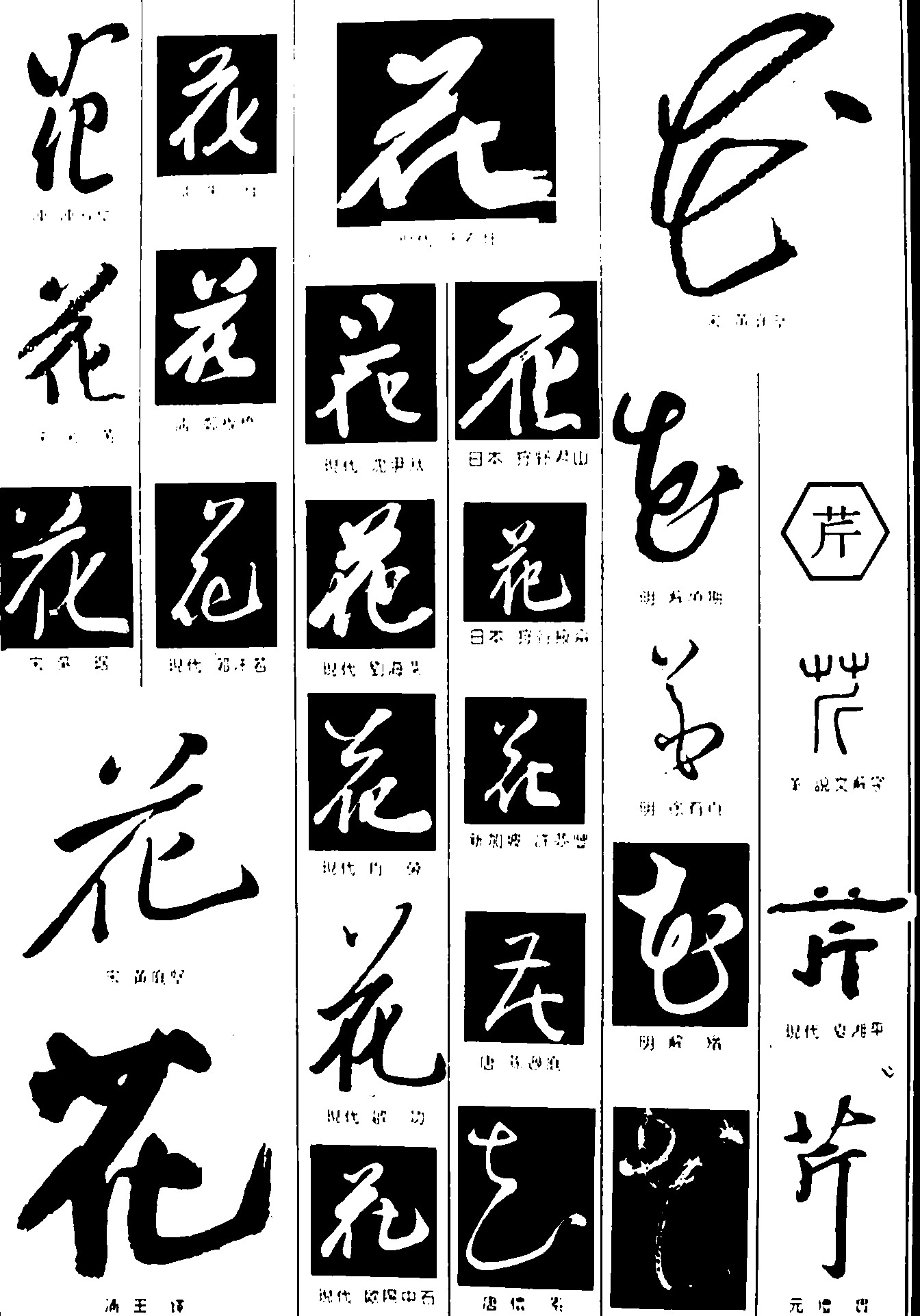 花芹