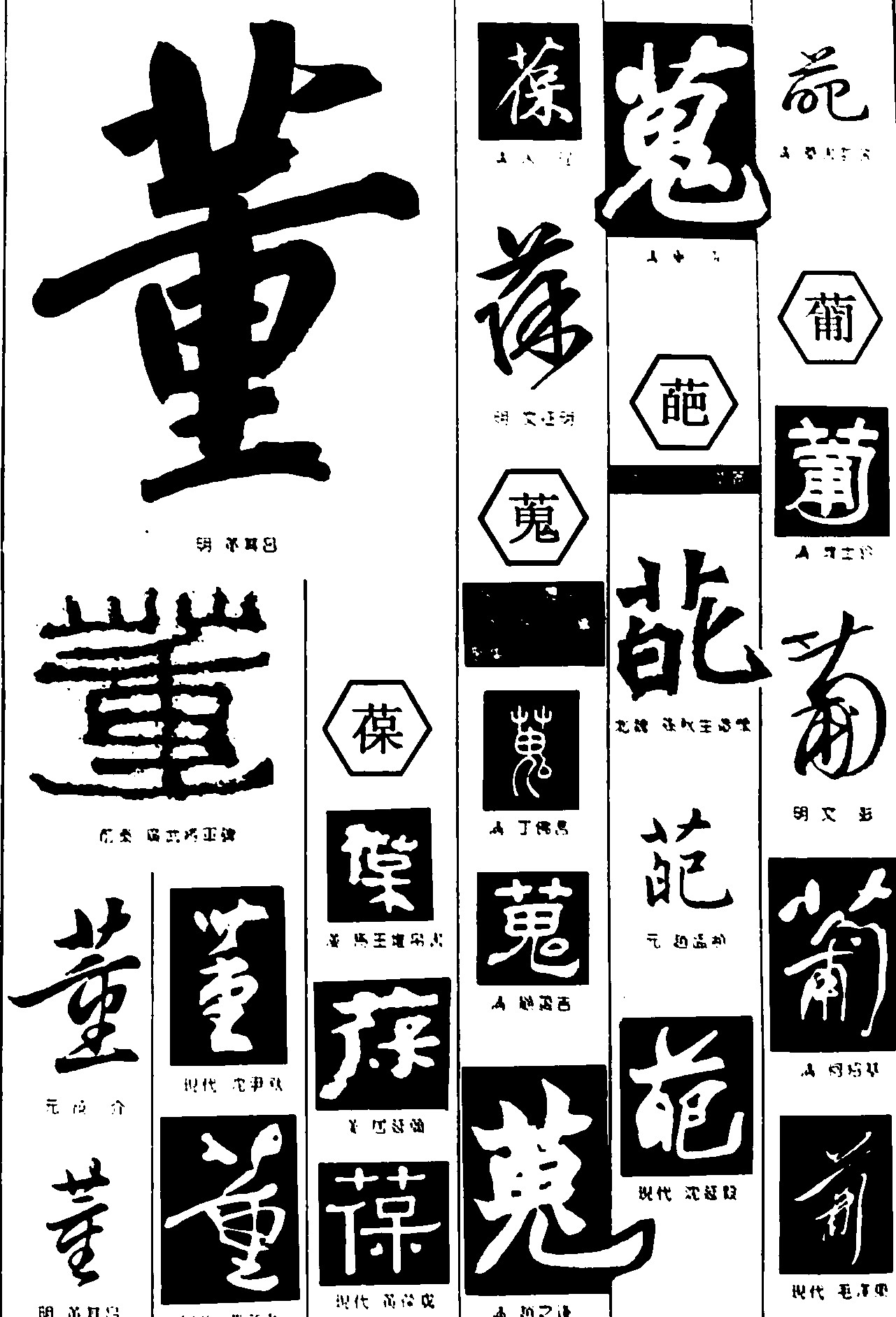 董葆鬼葩葡