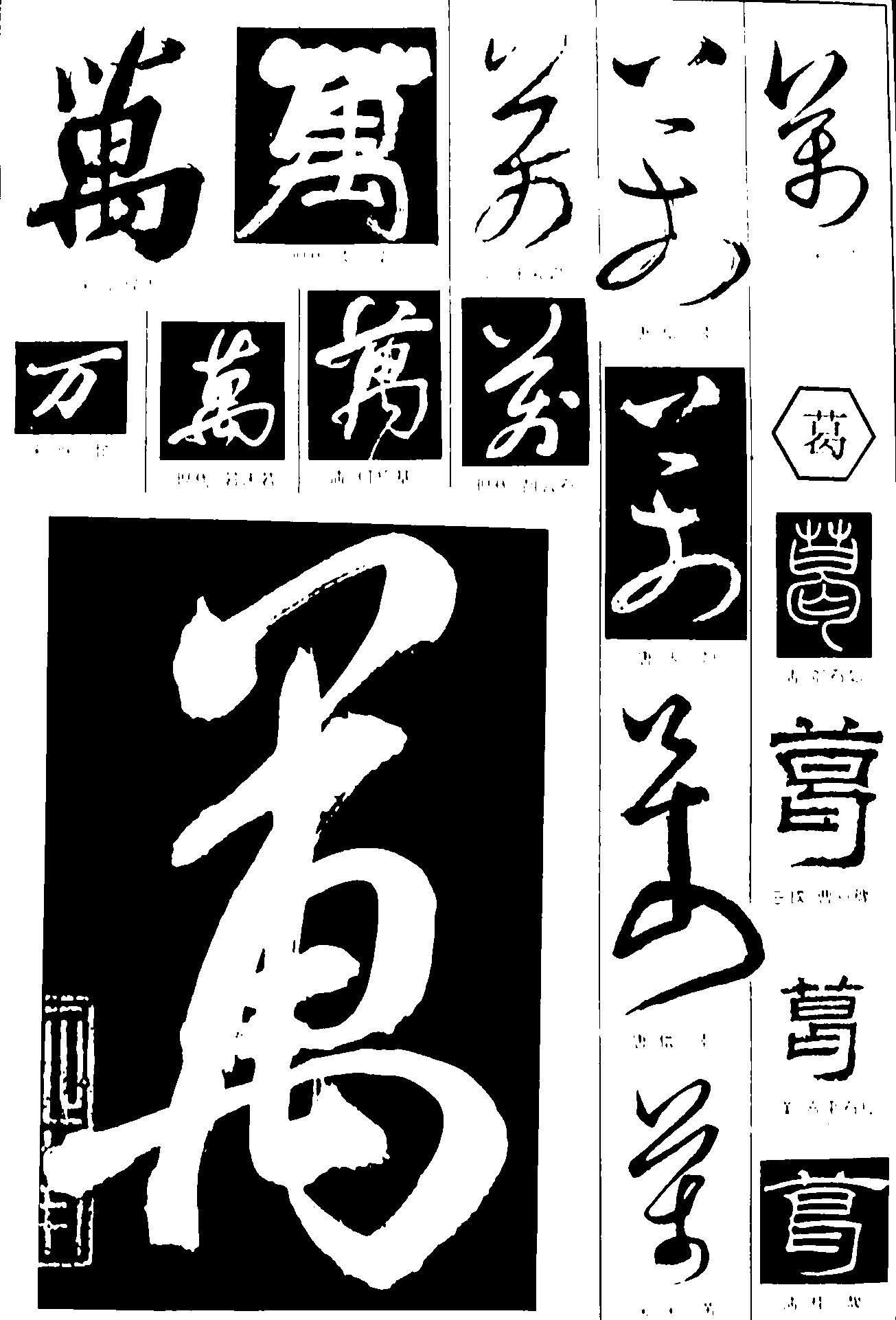 万葛