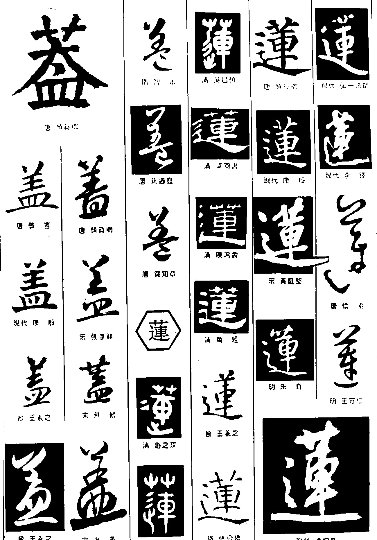 盖莲