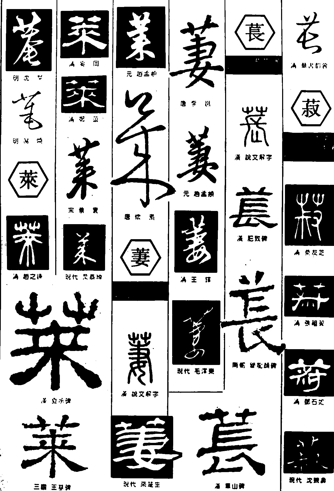莱萋苌菽