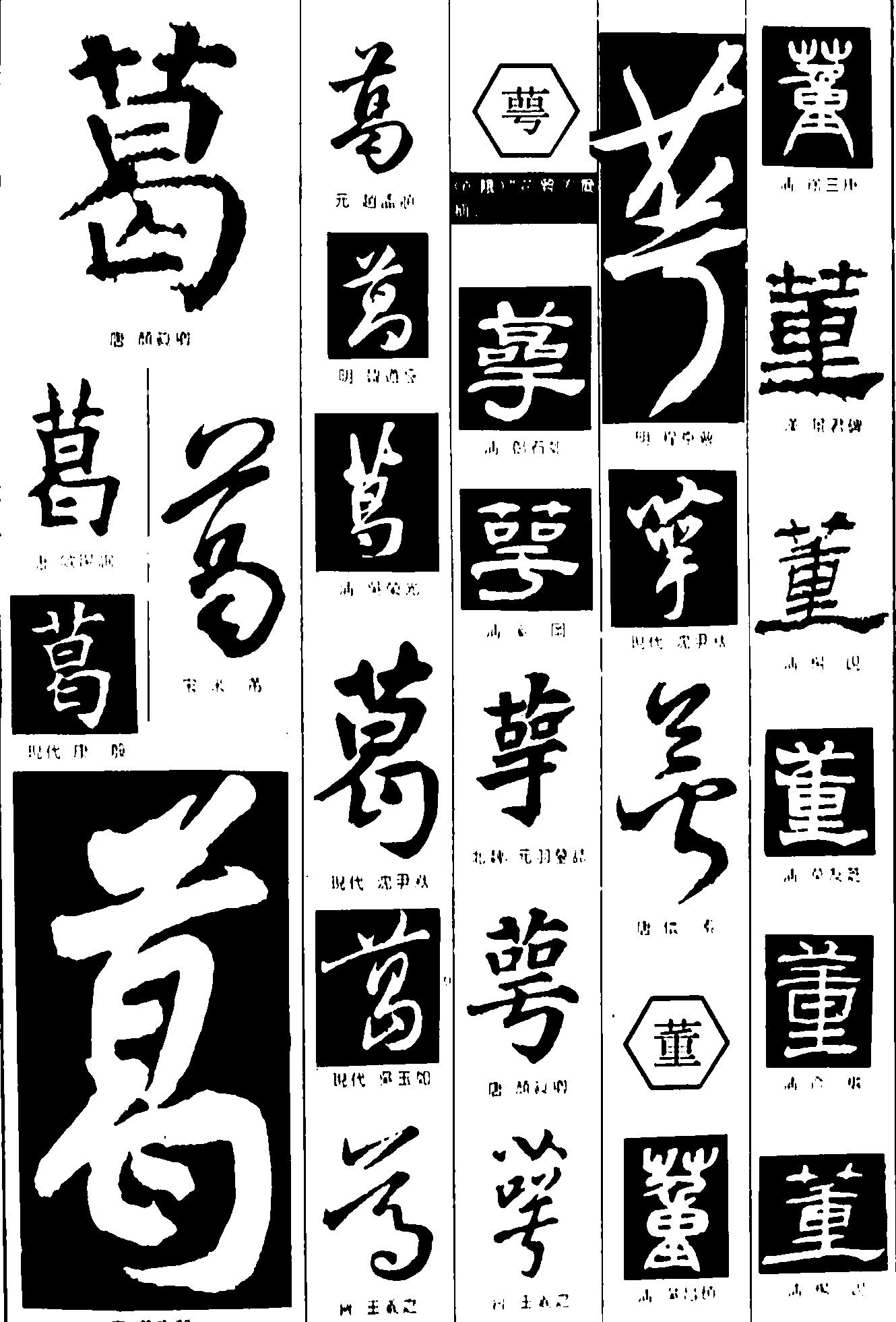 葛萼董