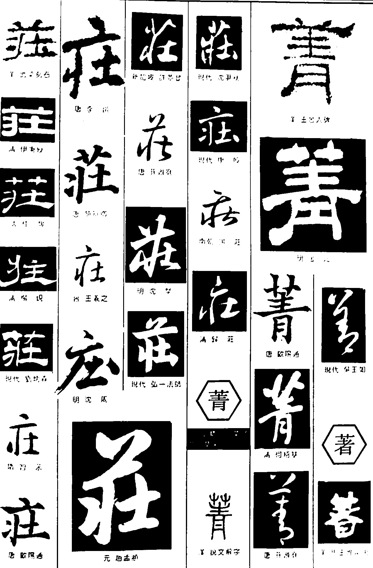 庄菁著