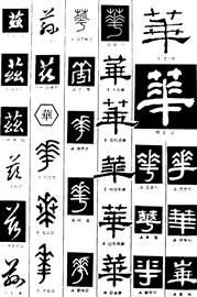 华兹