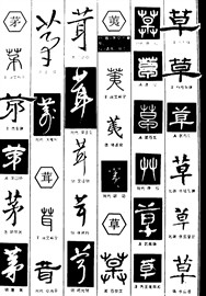 茅荑草耳