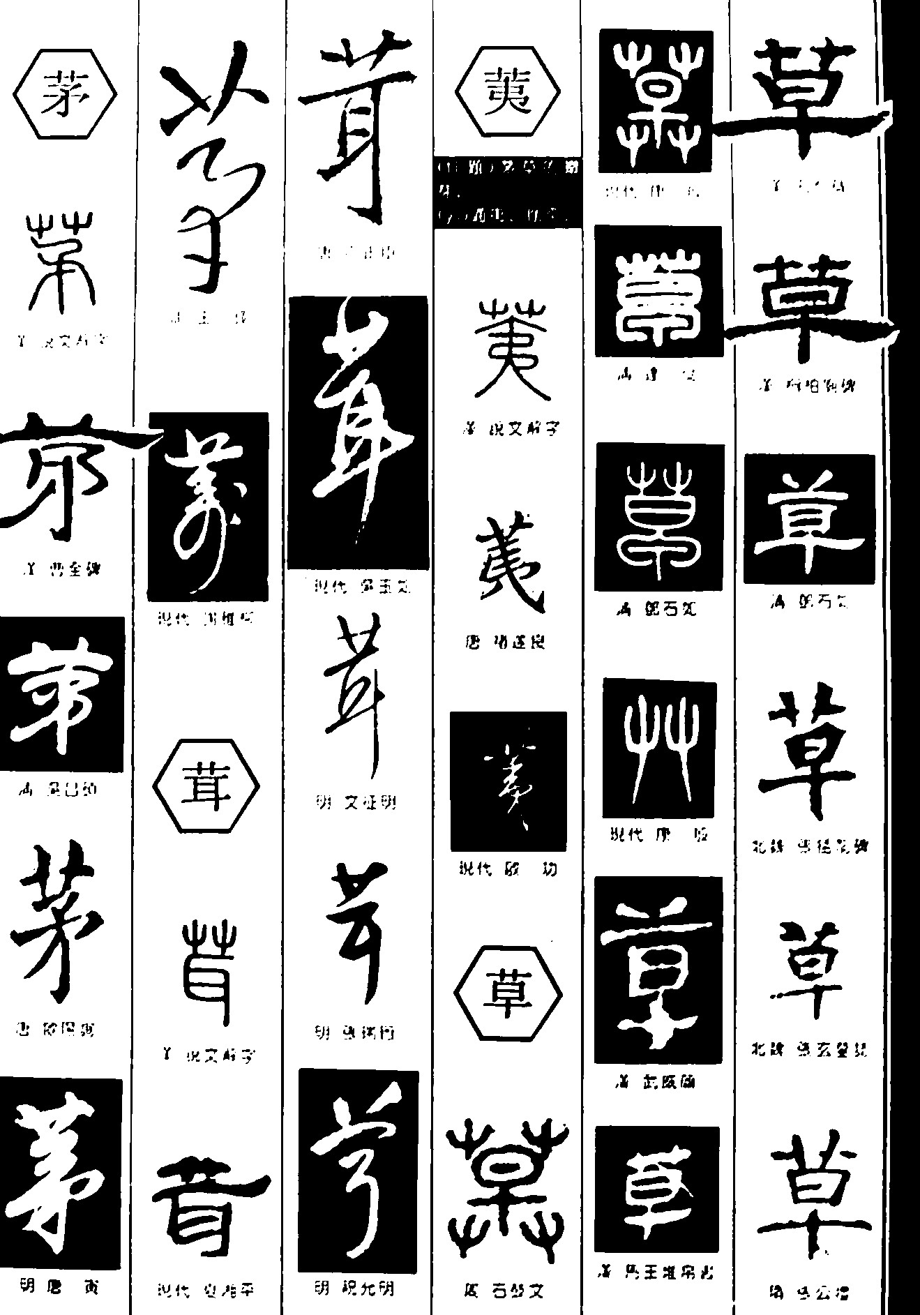 茅荑草耳