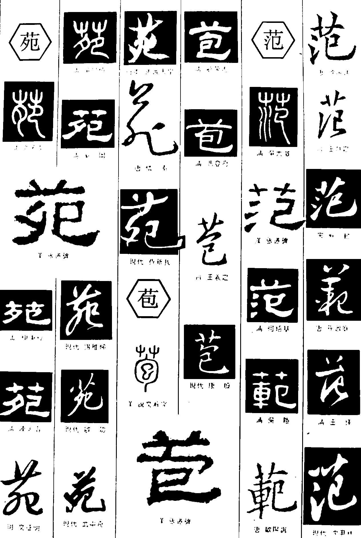 苑范苞