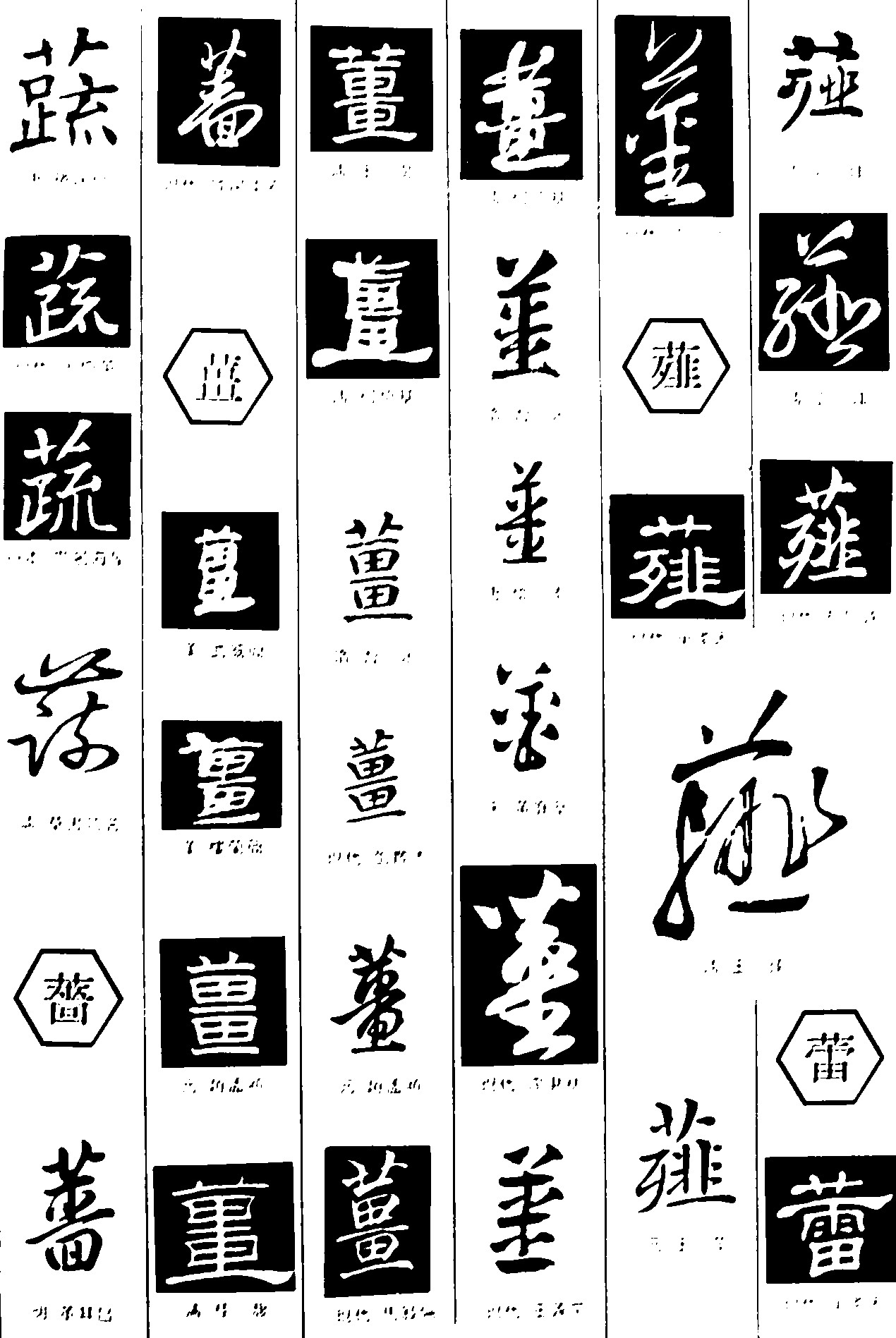 蔬薔薤蕾