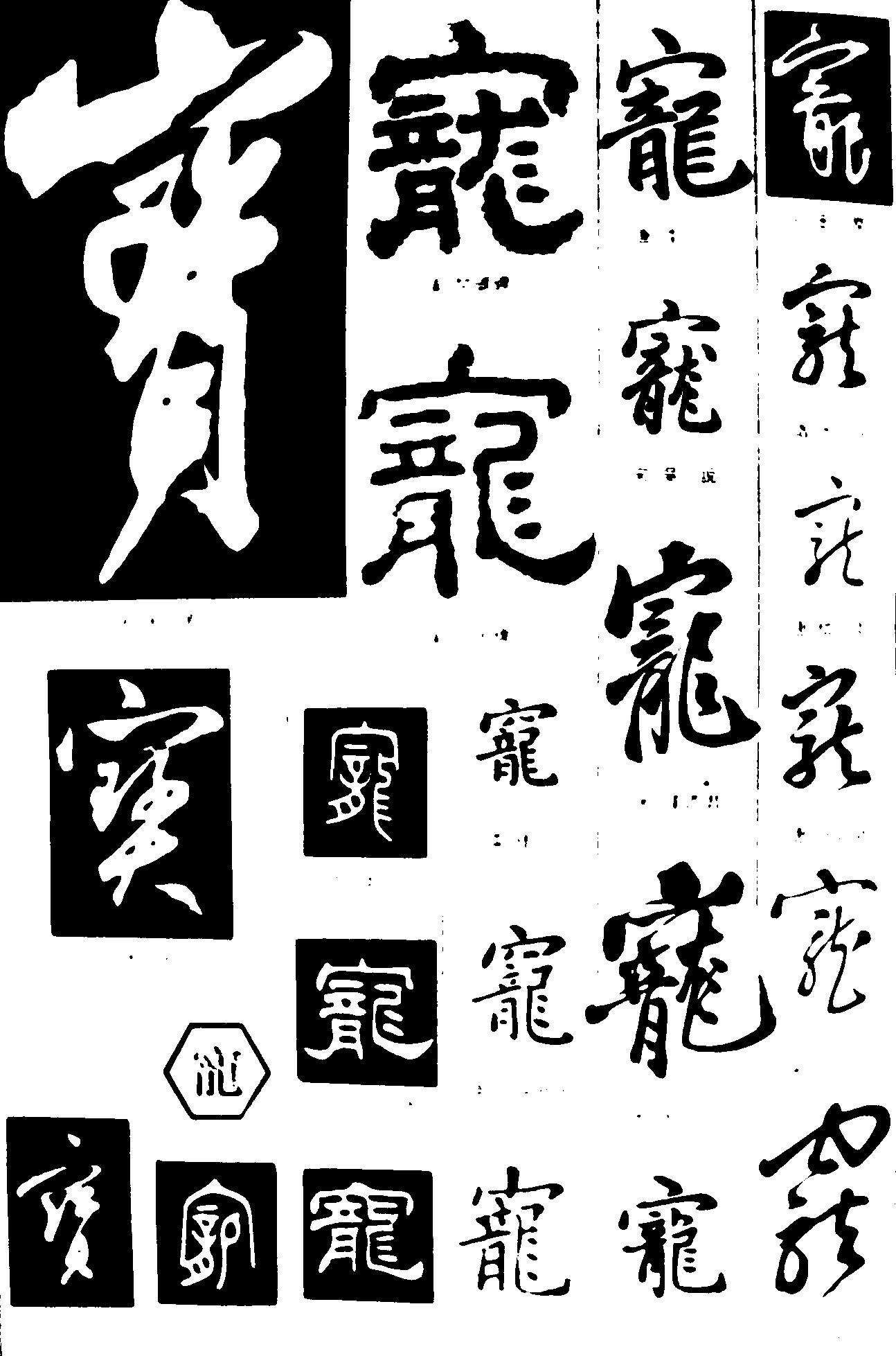 宝宠