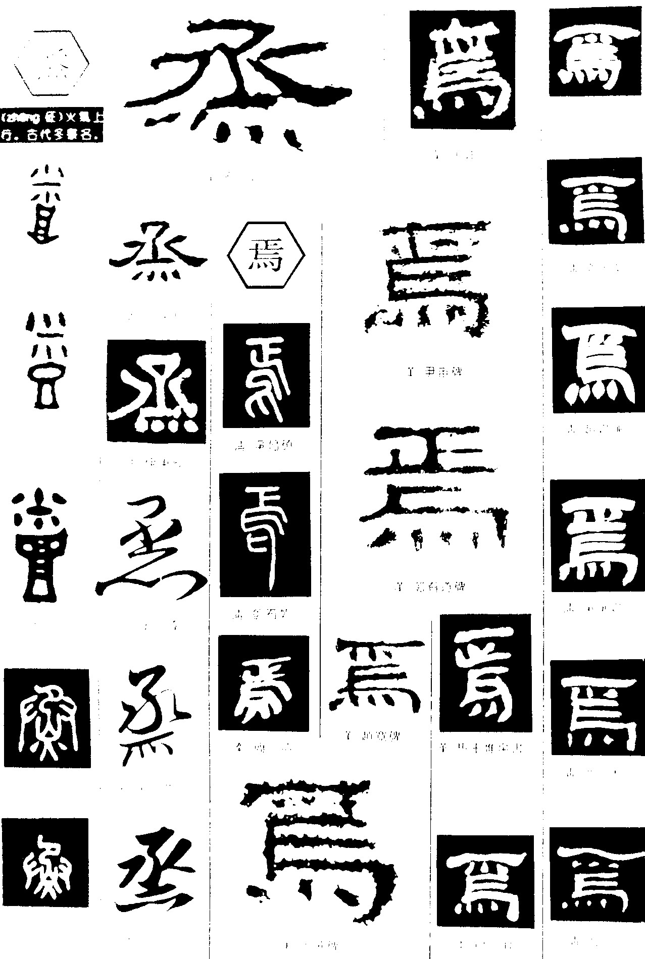 烝焉