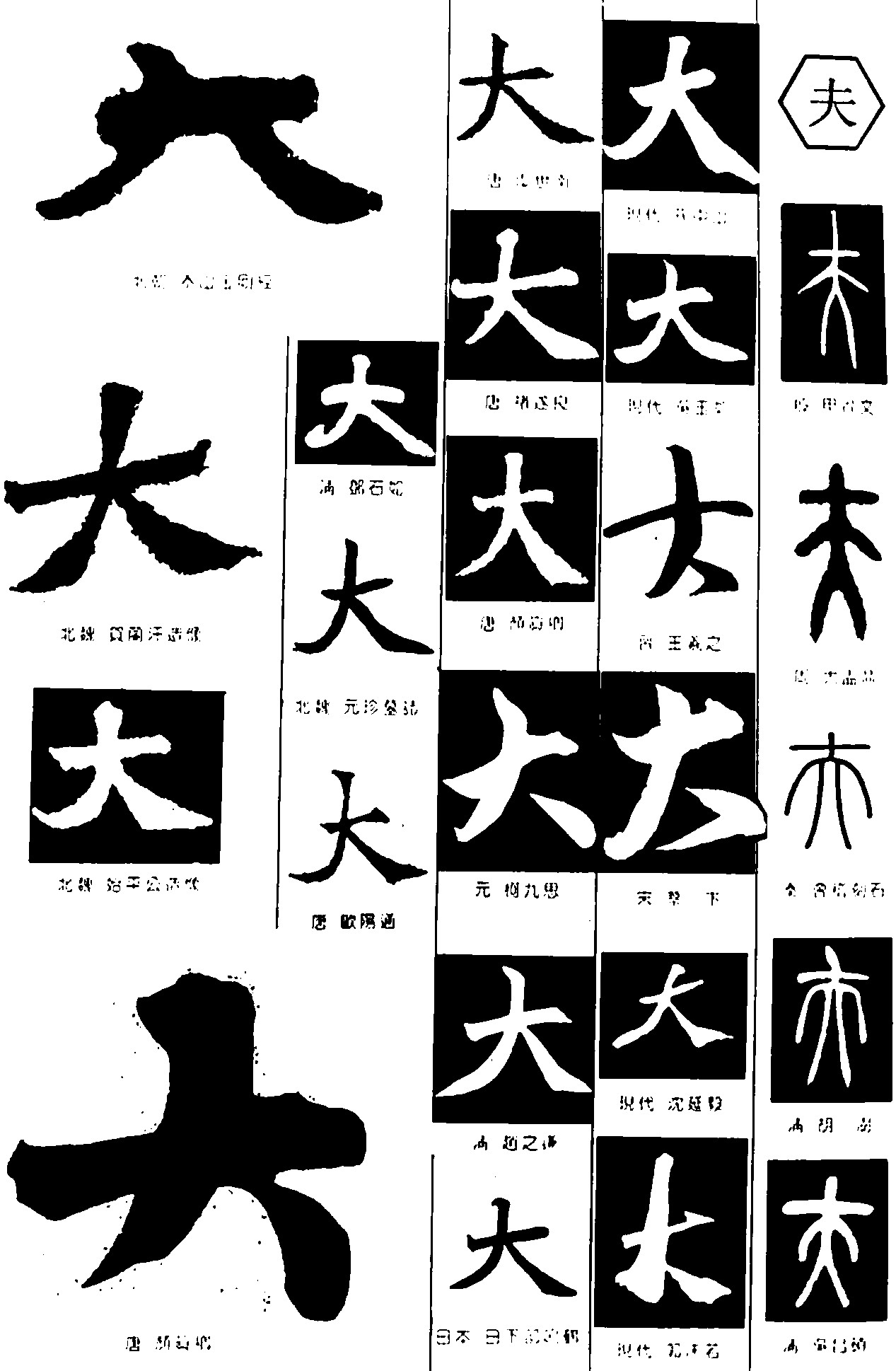 大夫