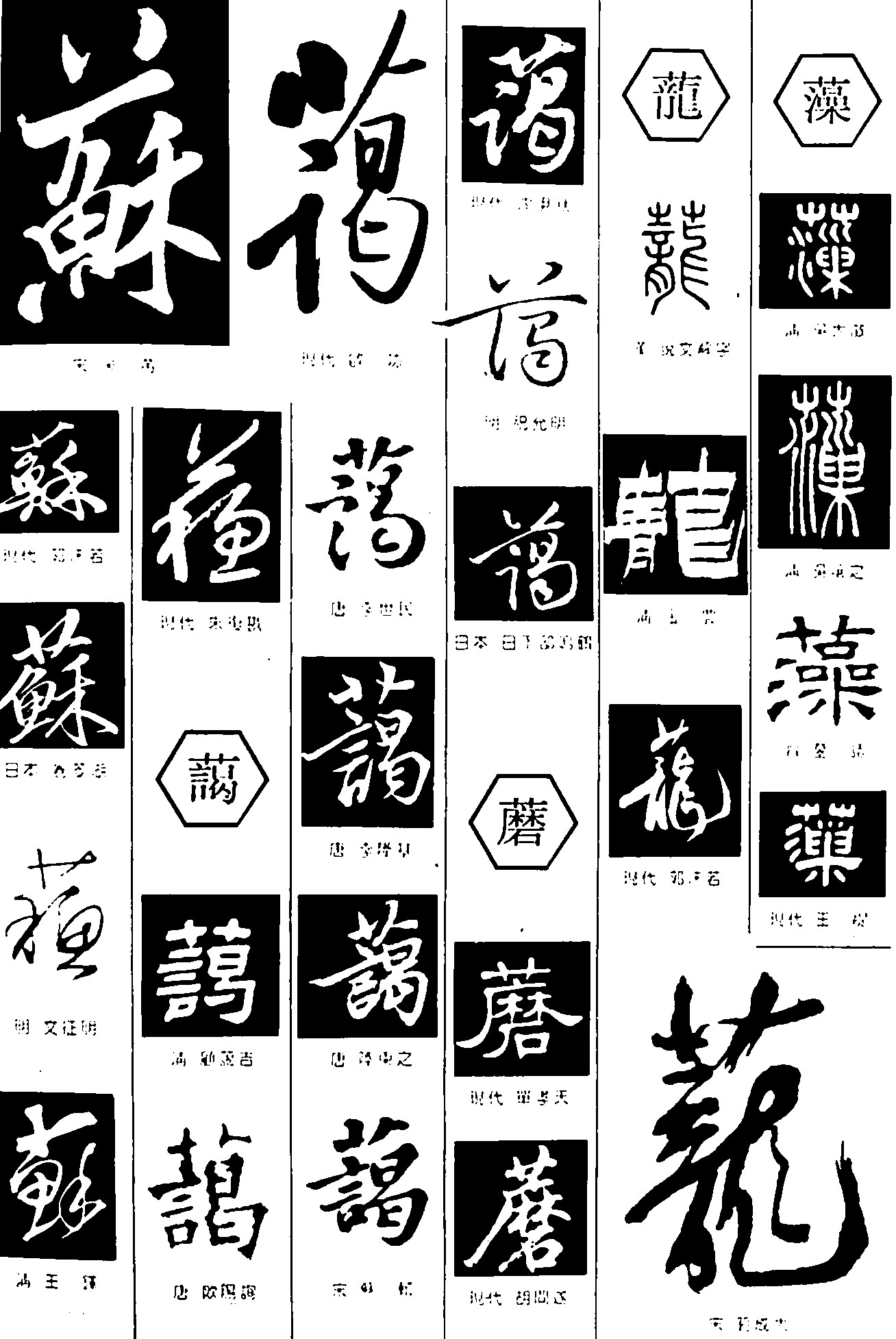 苏蔼蘑蘢藻