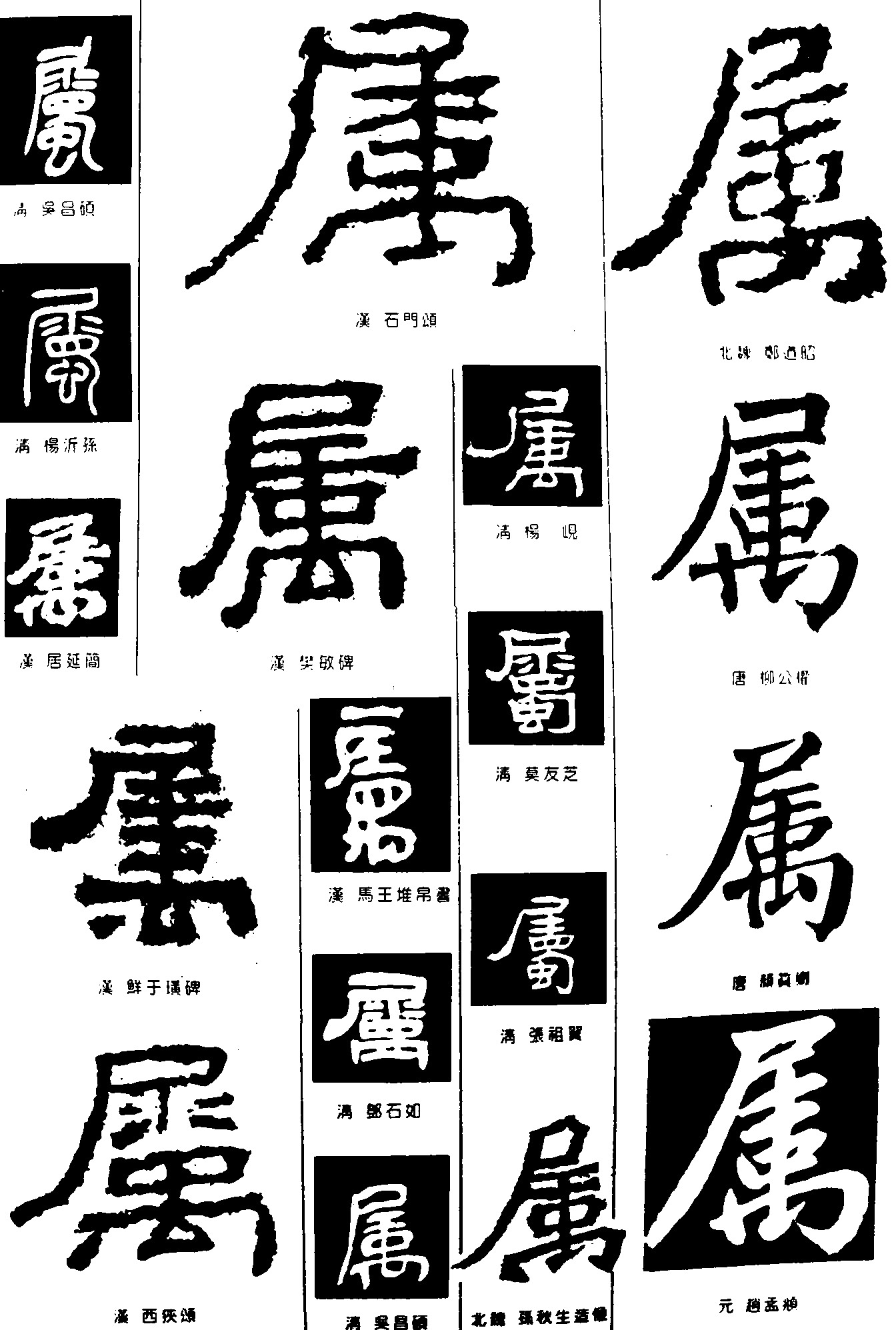 属2