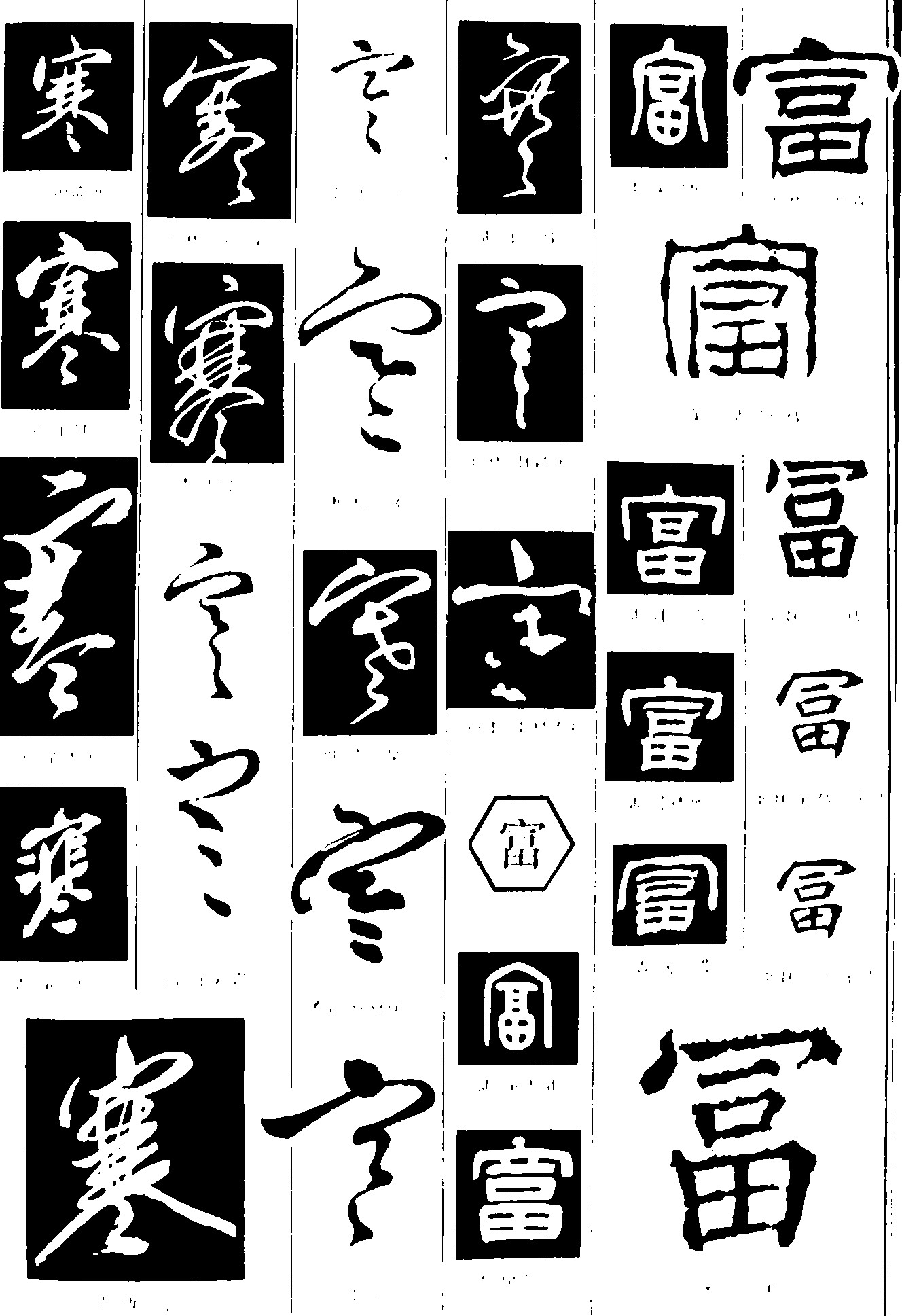 寒富