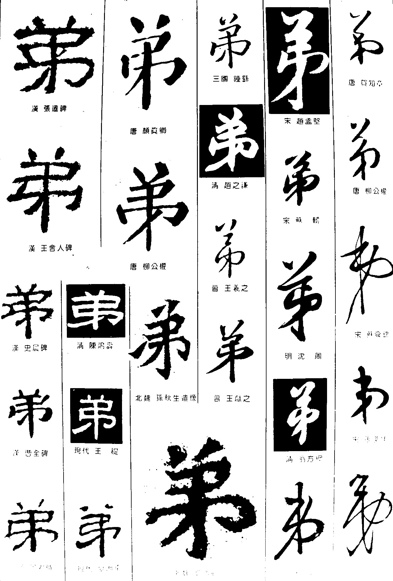 弟