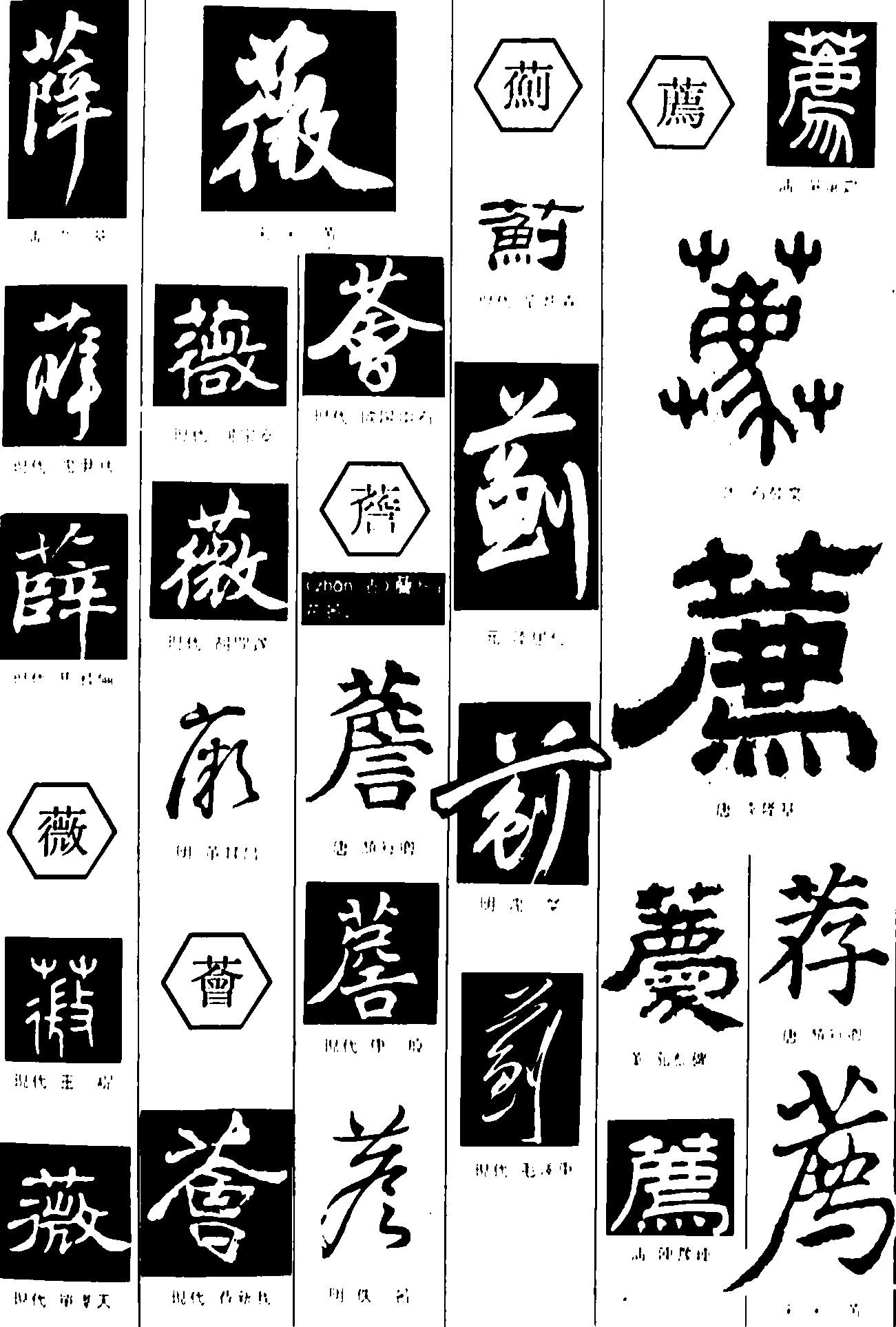 薛薇薝蓟薦