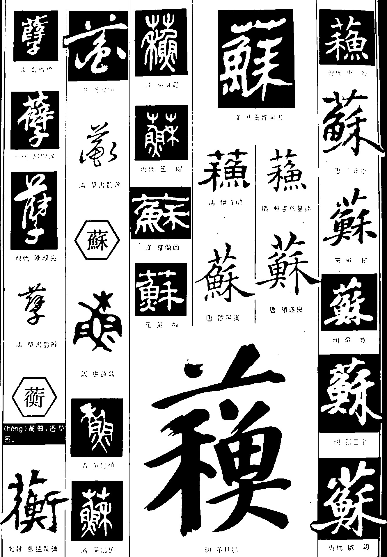 孽蘅蘇
