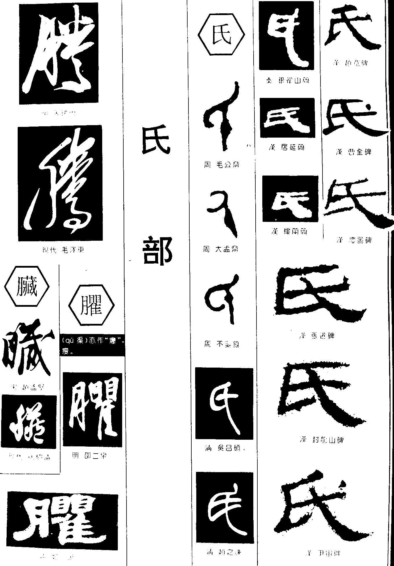 腾臟臞氏