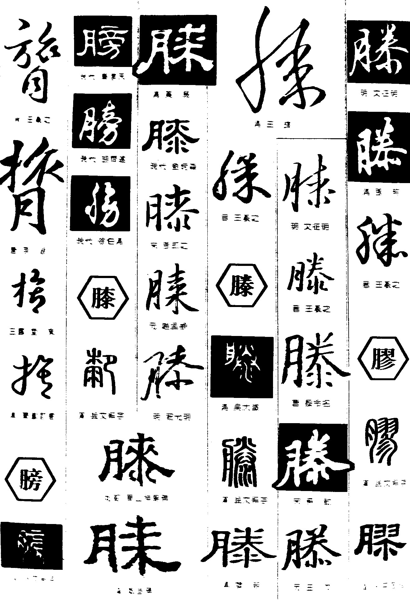膂膀膝滕膠