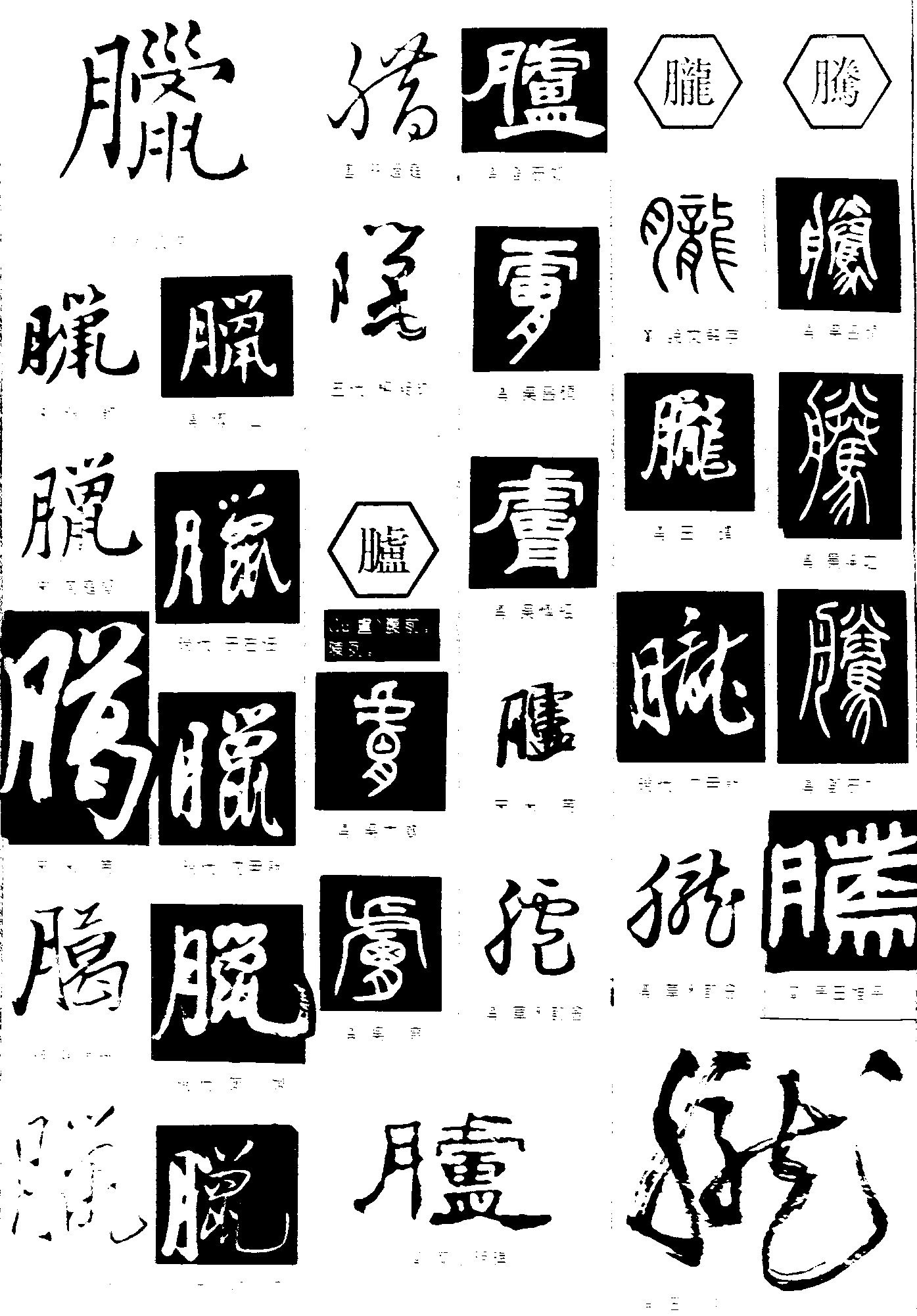 臘臚胧腾