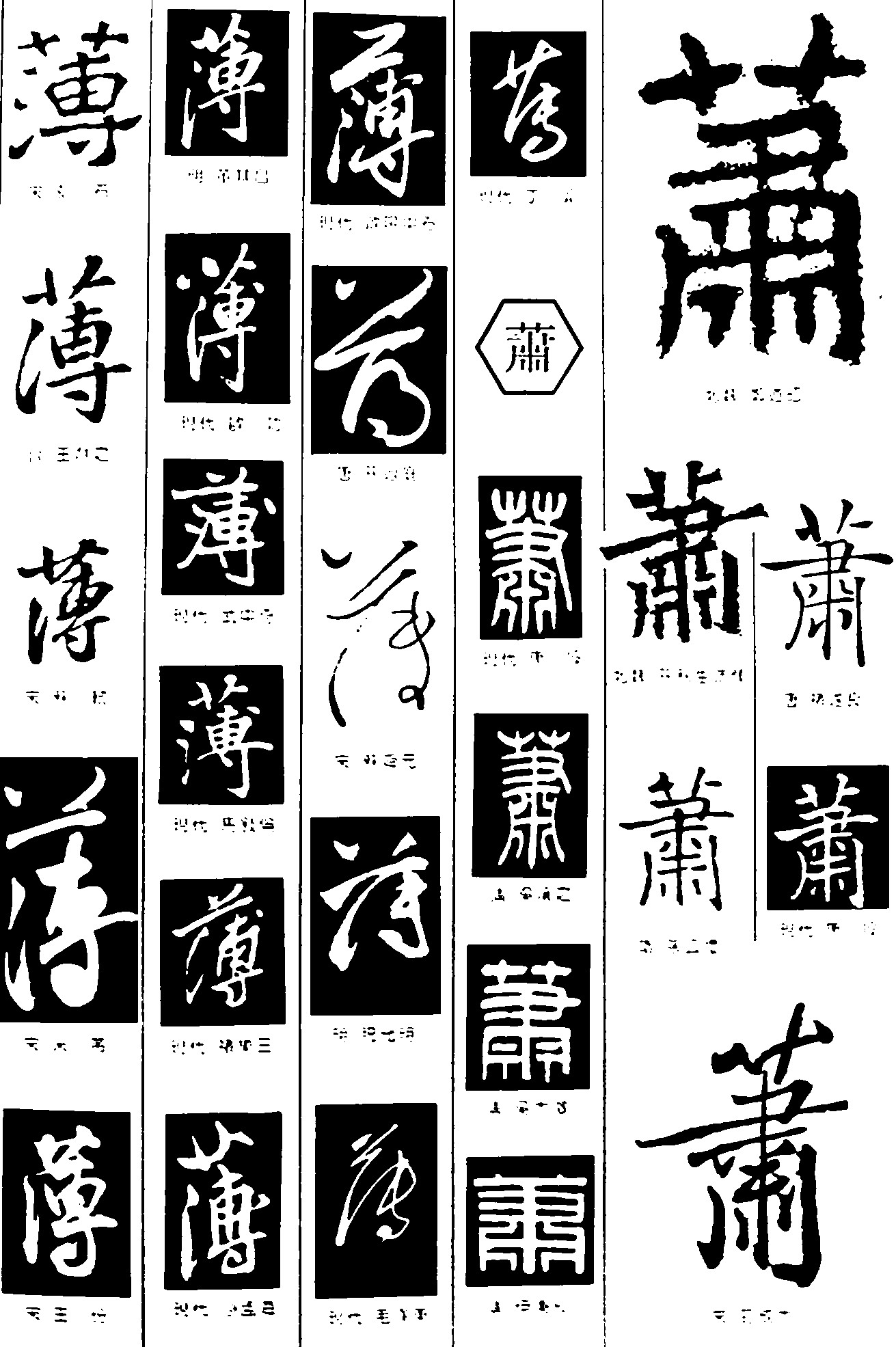 薄萧