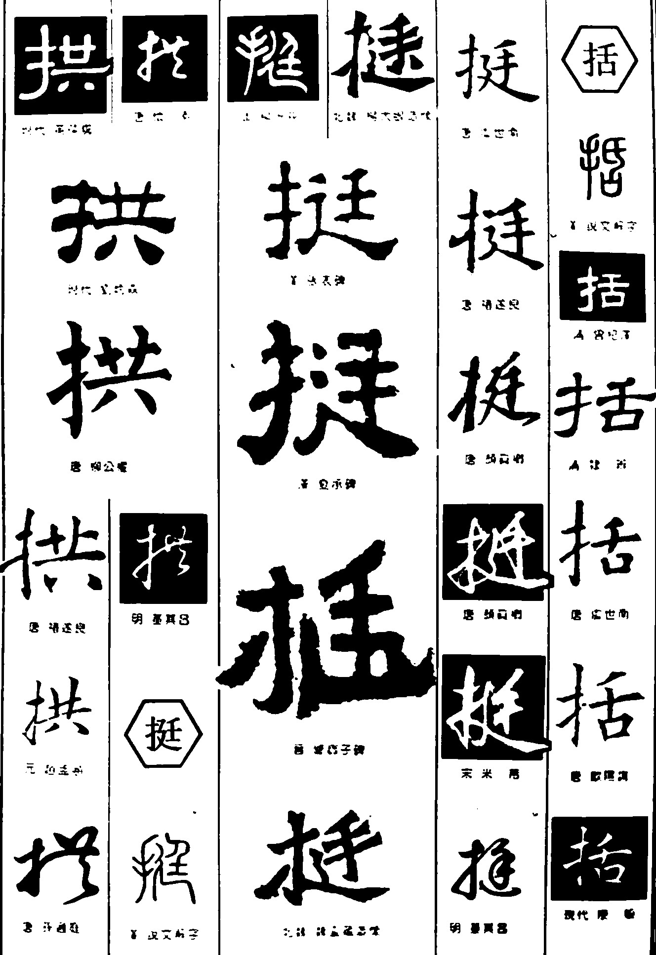 拱挺括