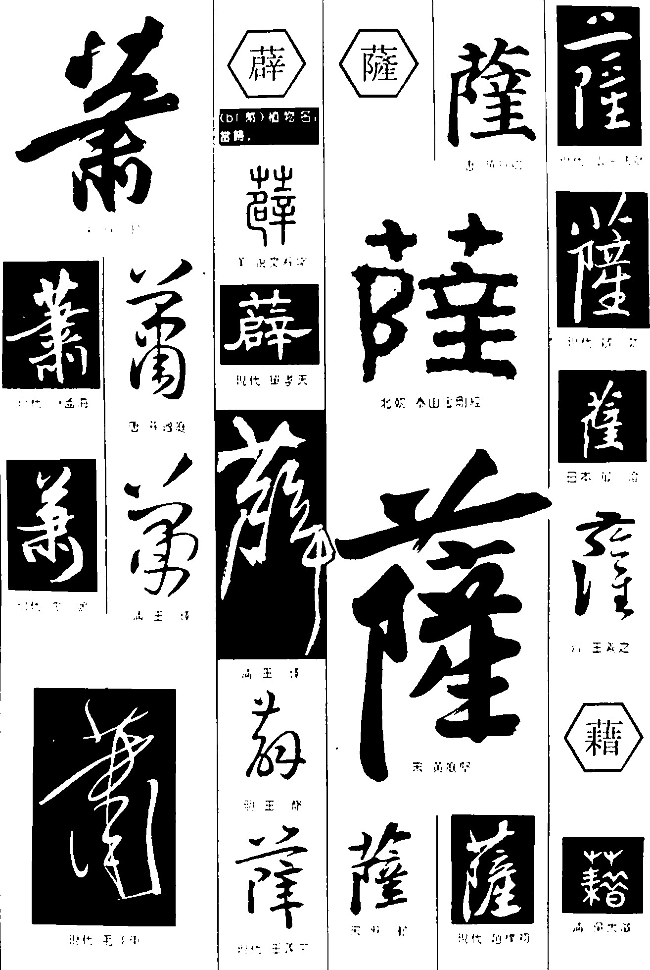 萧薜薩藉