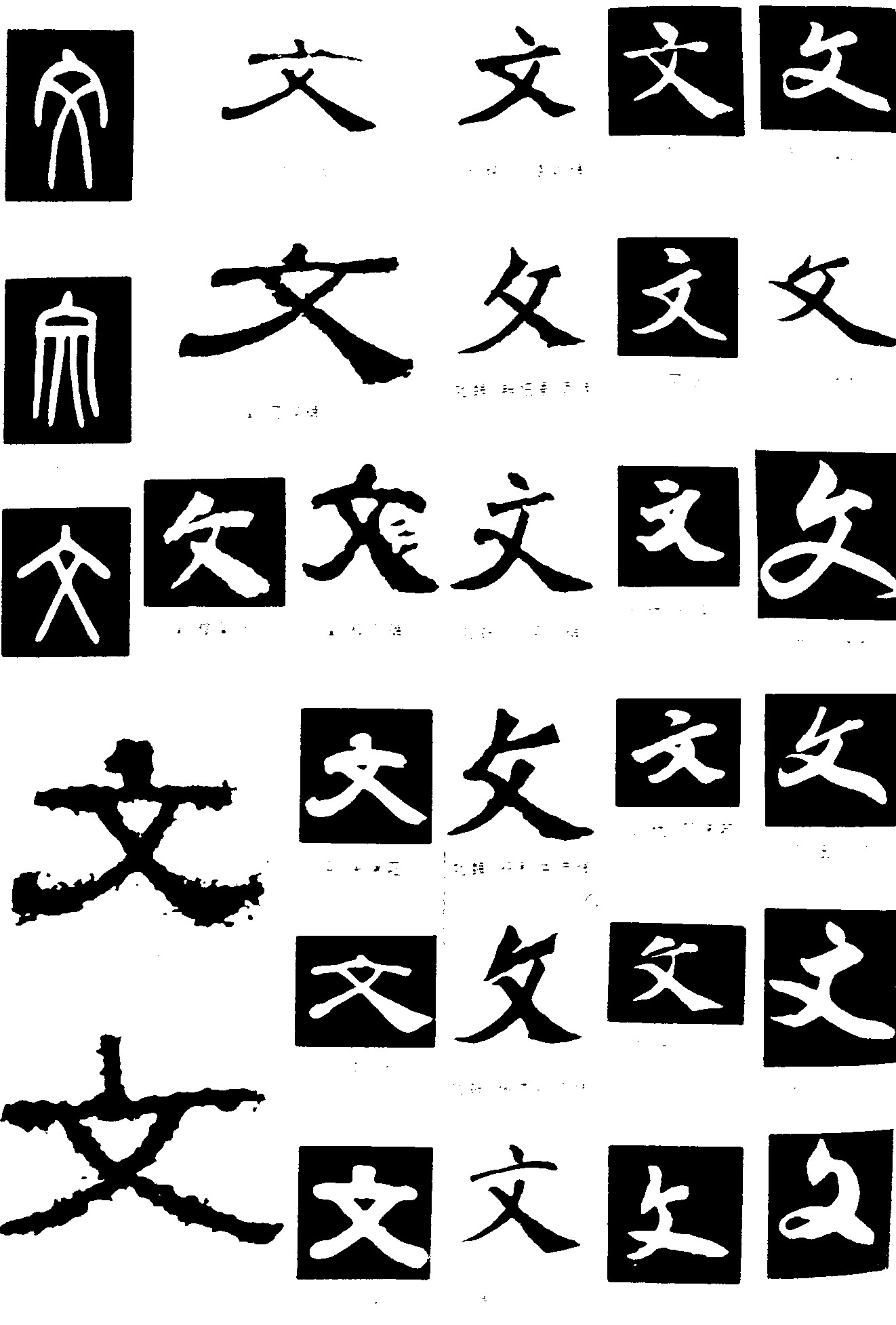 文