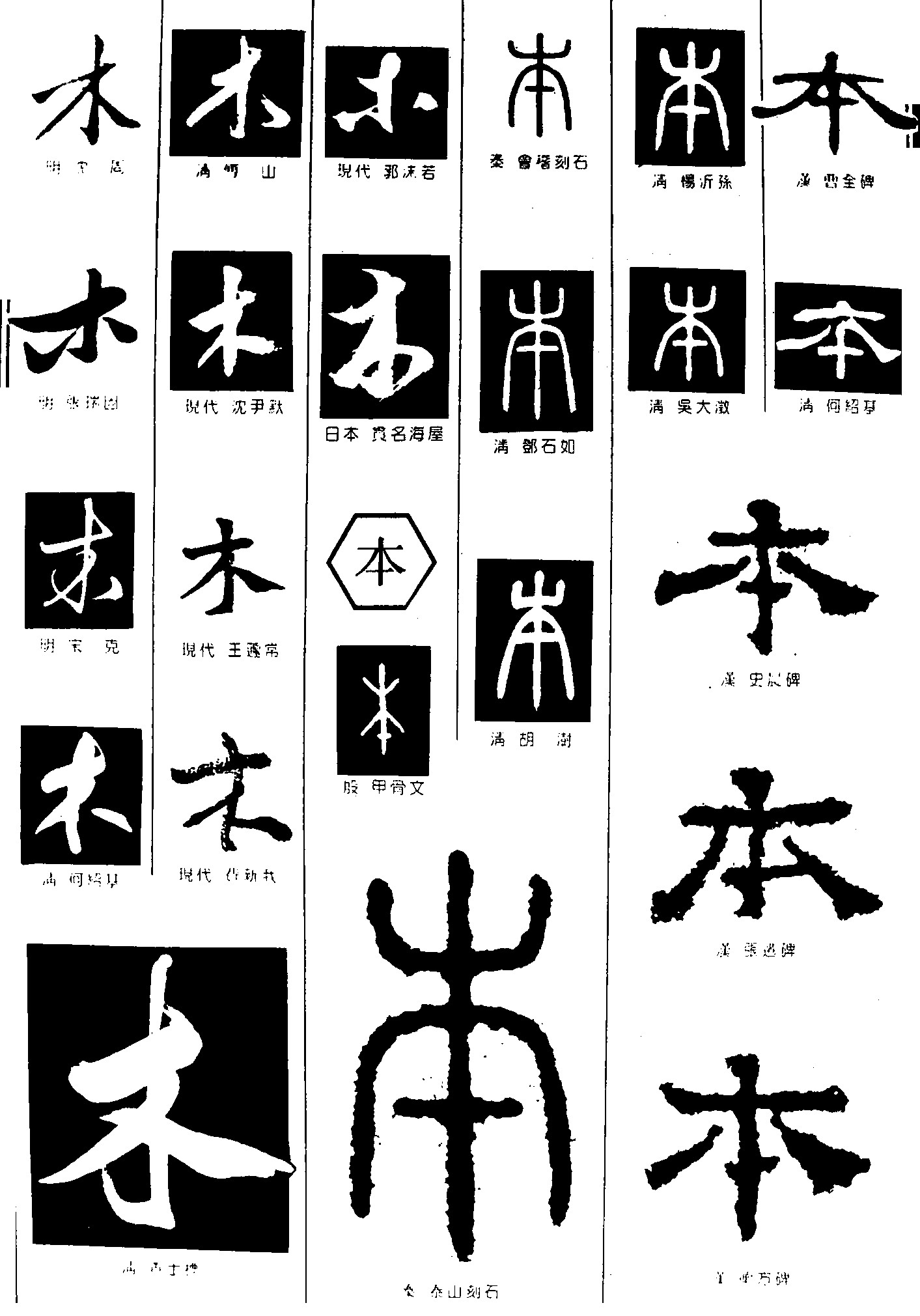 木本
