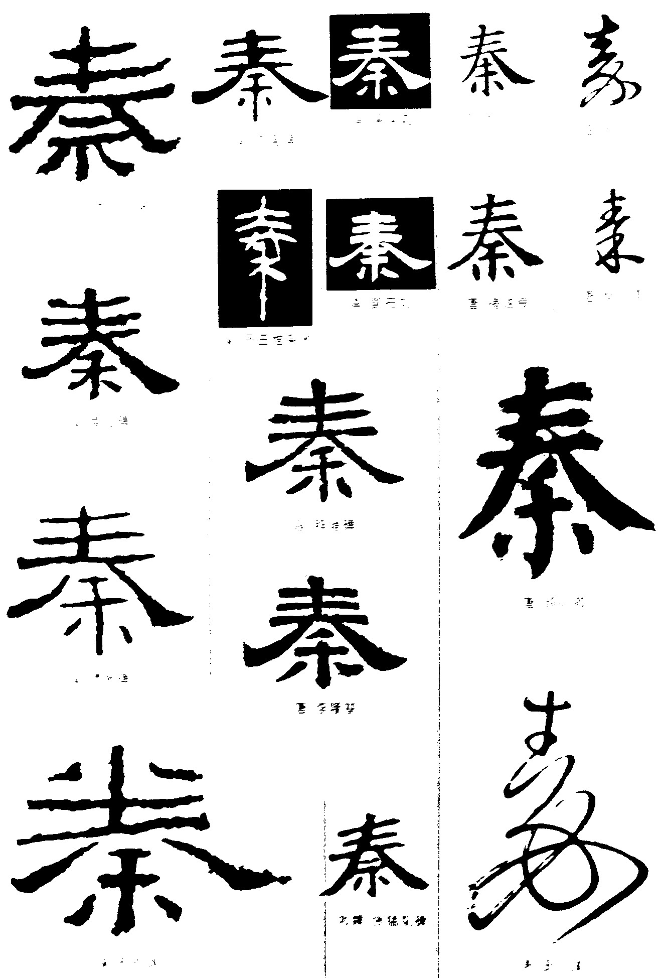 秦