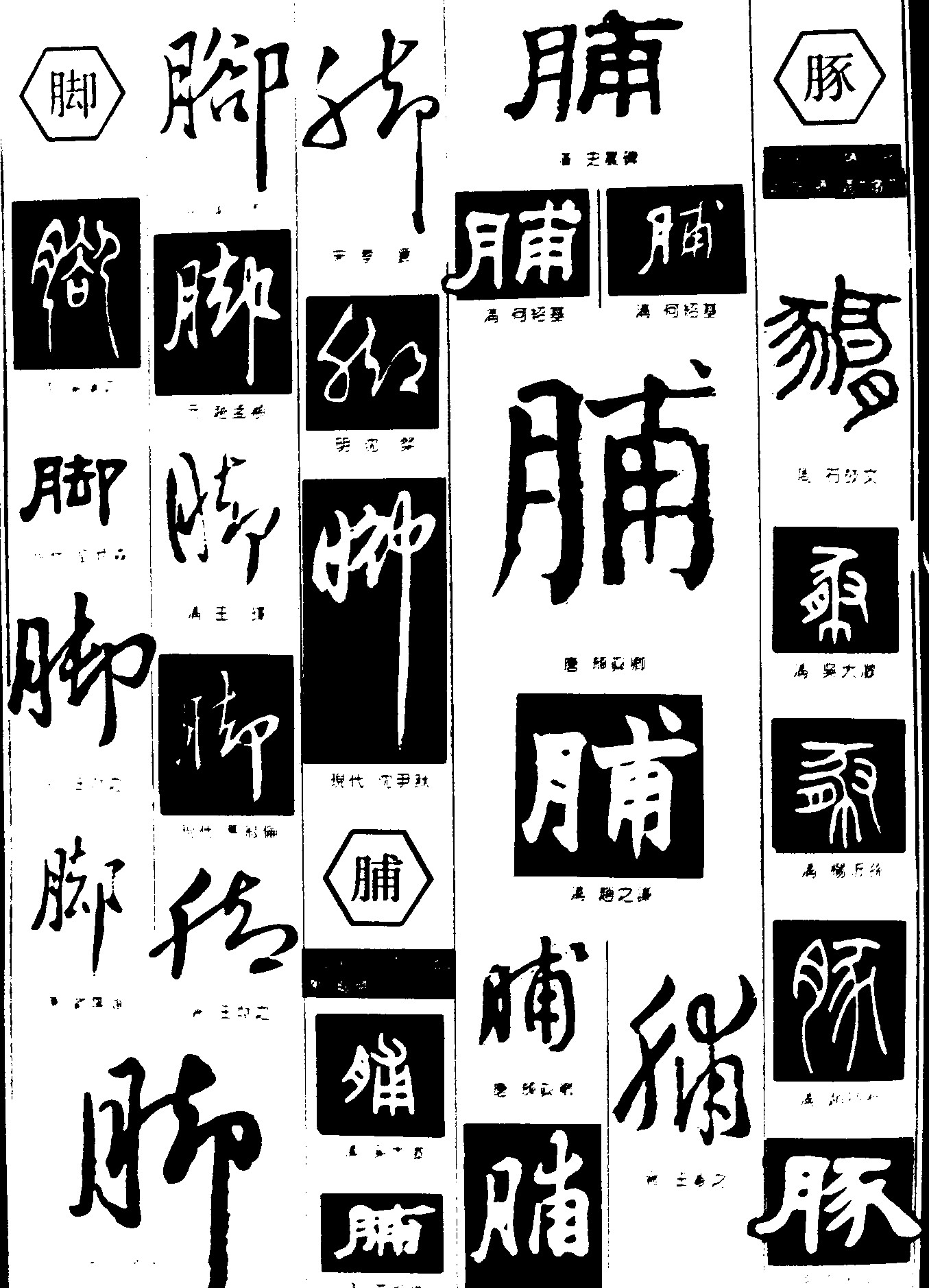 脚脯豚