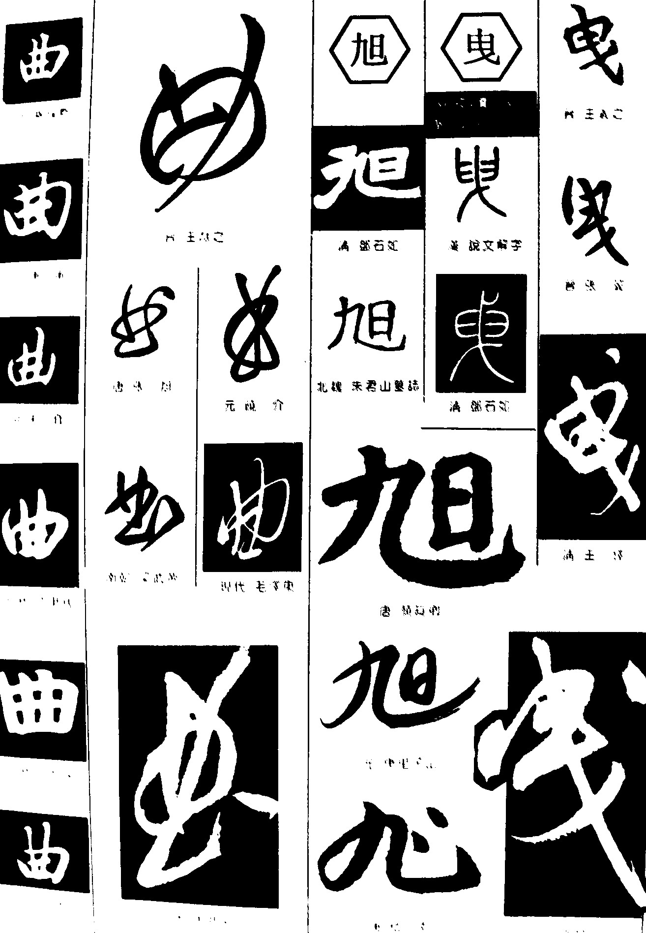 曲旭
