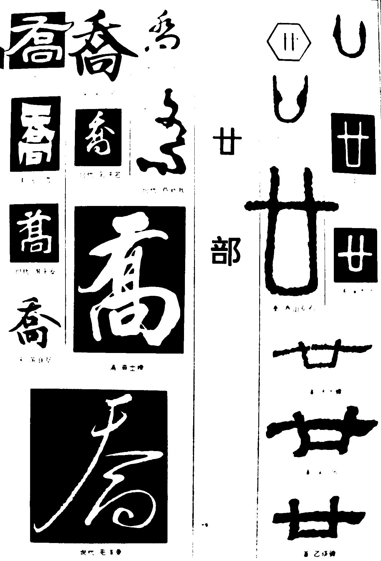 乔廿