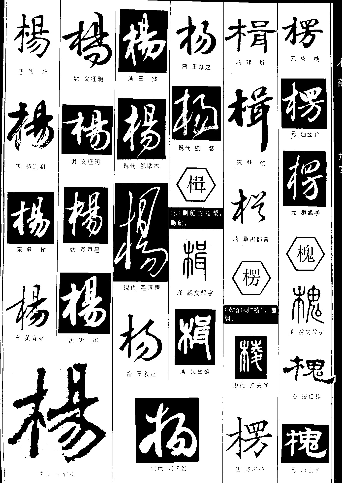 杨楫楞槐