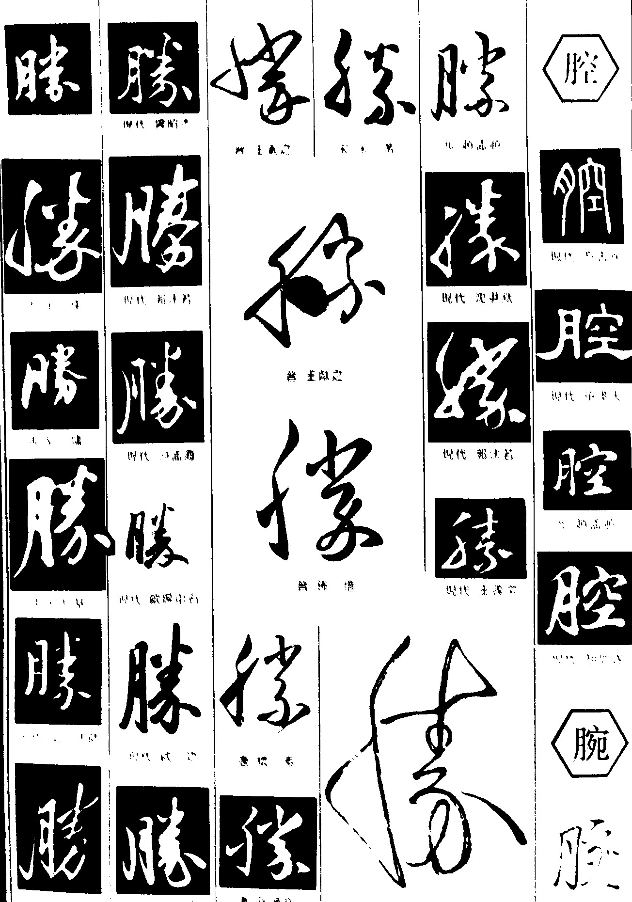 腾腔