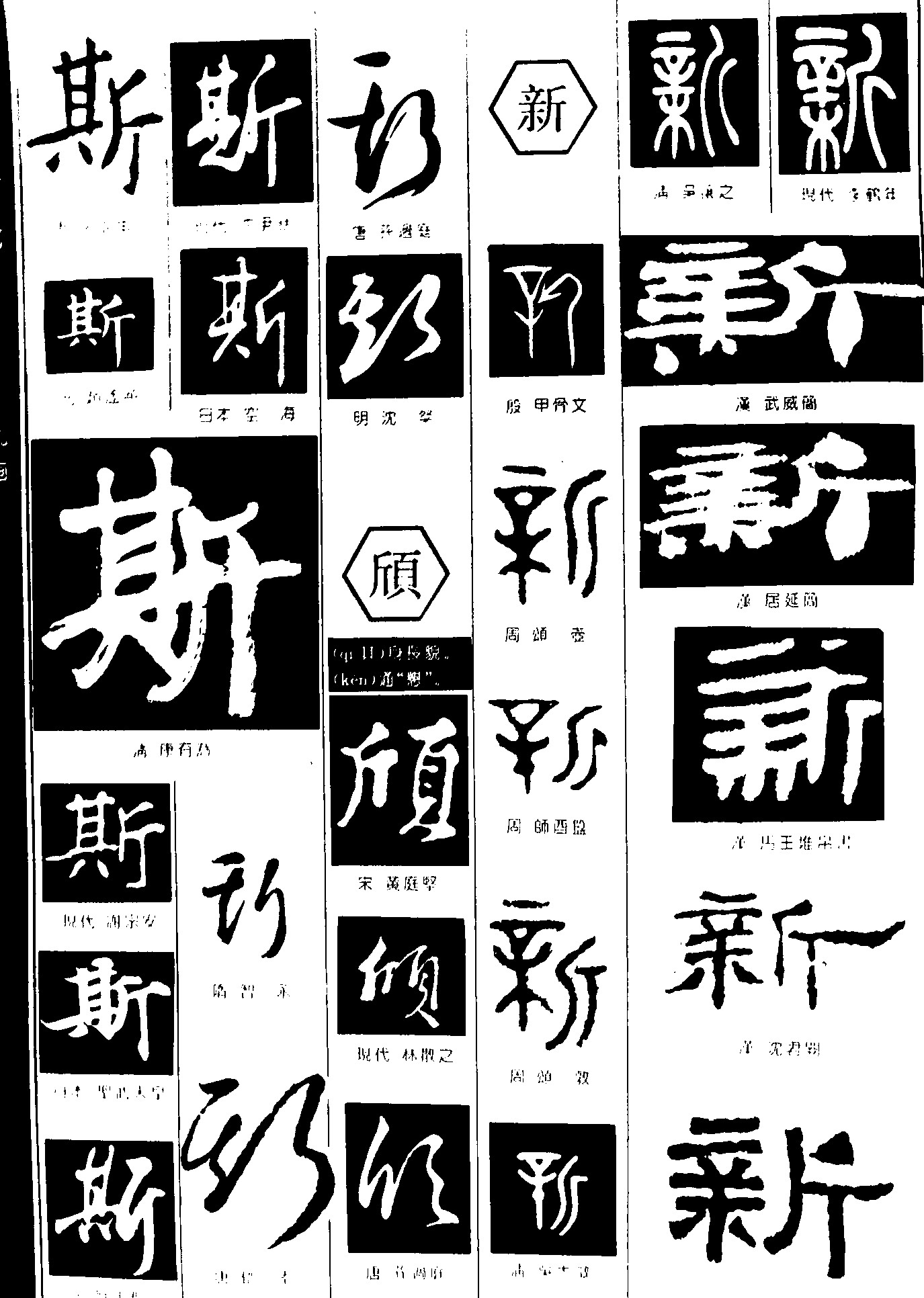 斯颀新