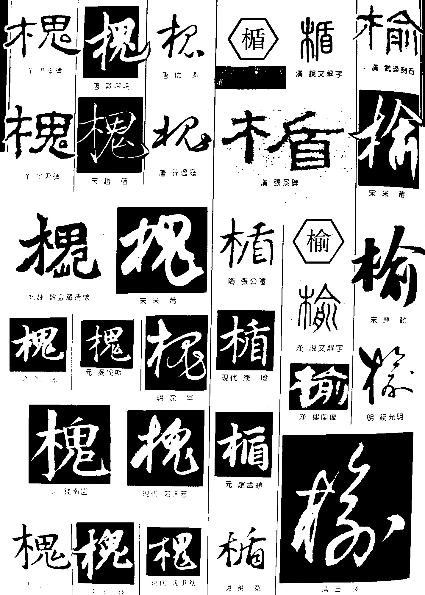 槐楯榆