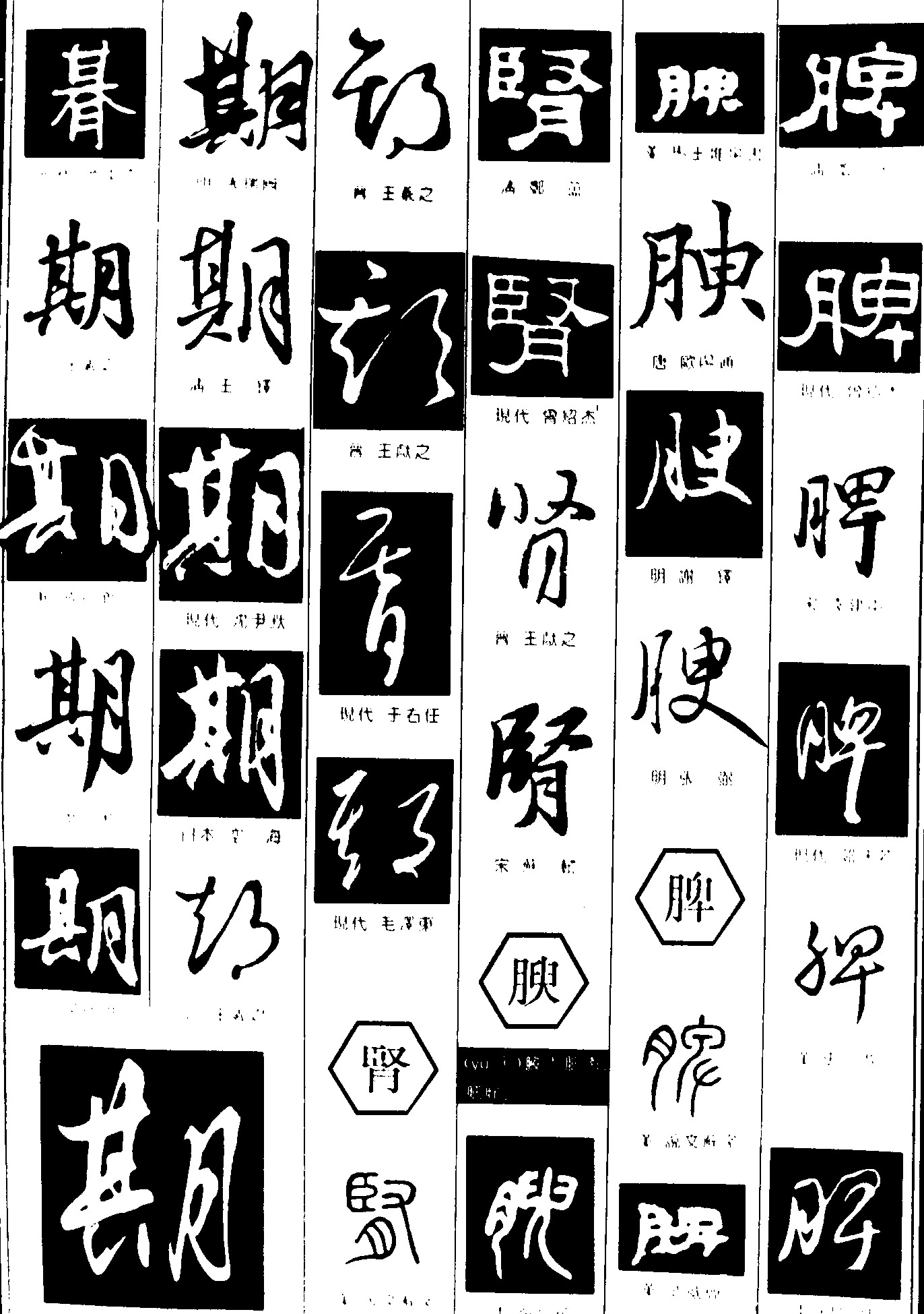期肾腴脾