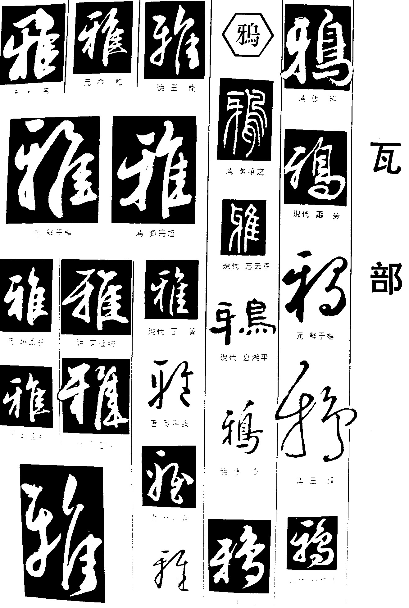 雅鸦