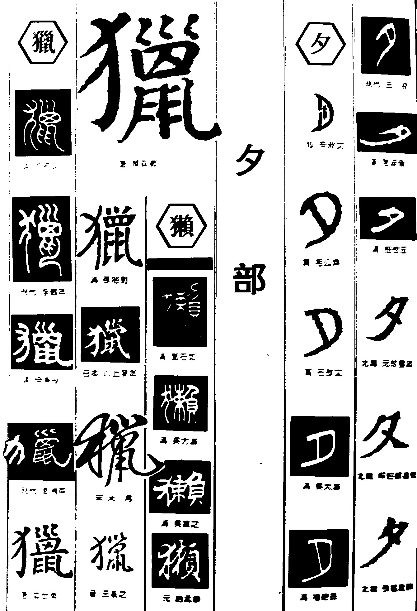 獵獭夕