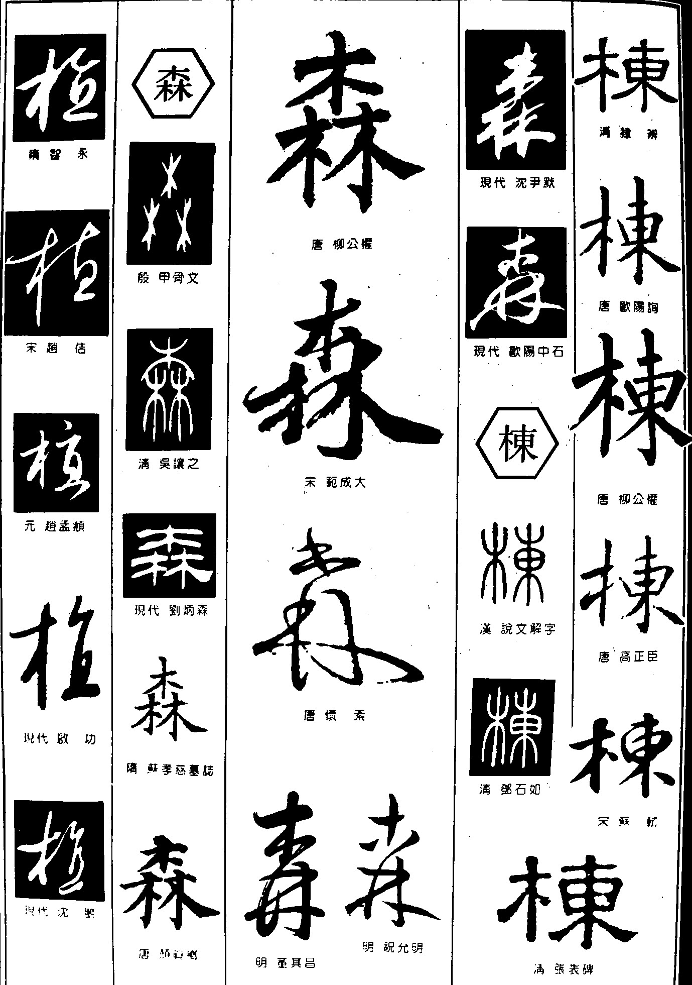 极森栋