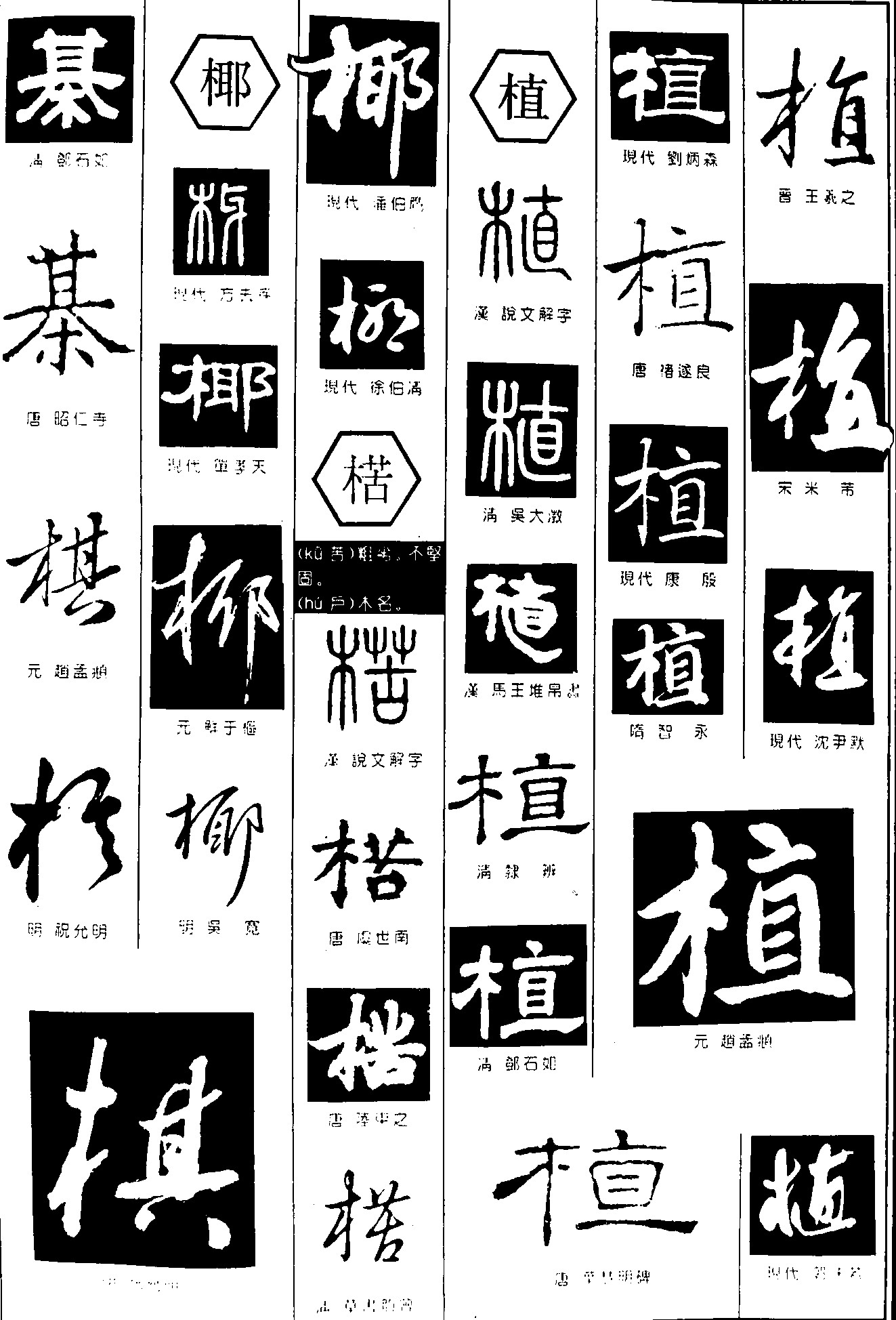 棋椰楛植