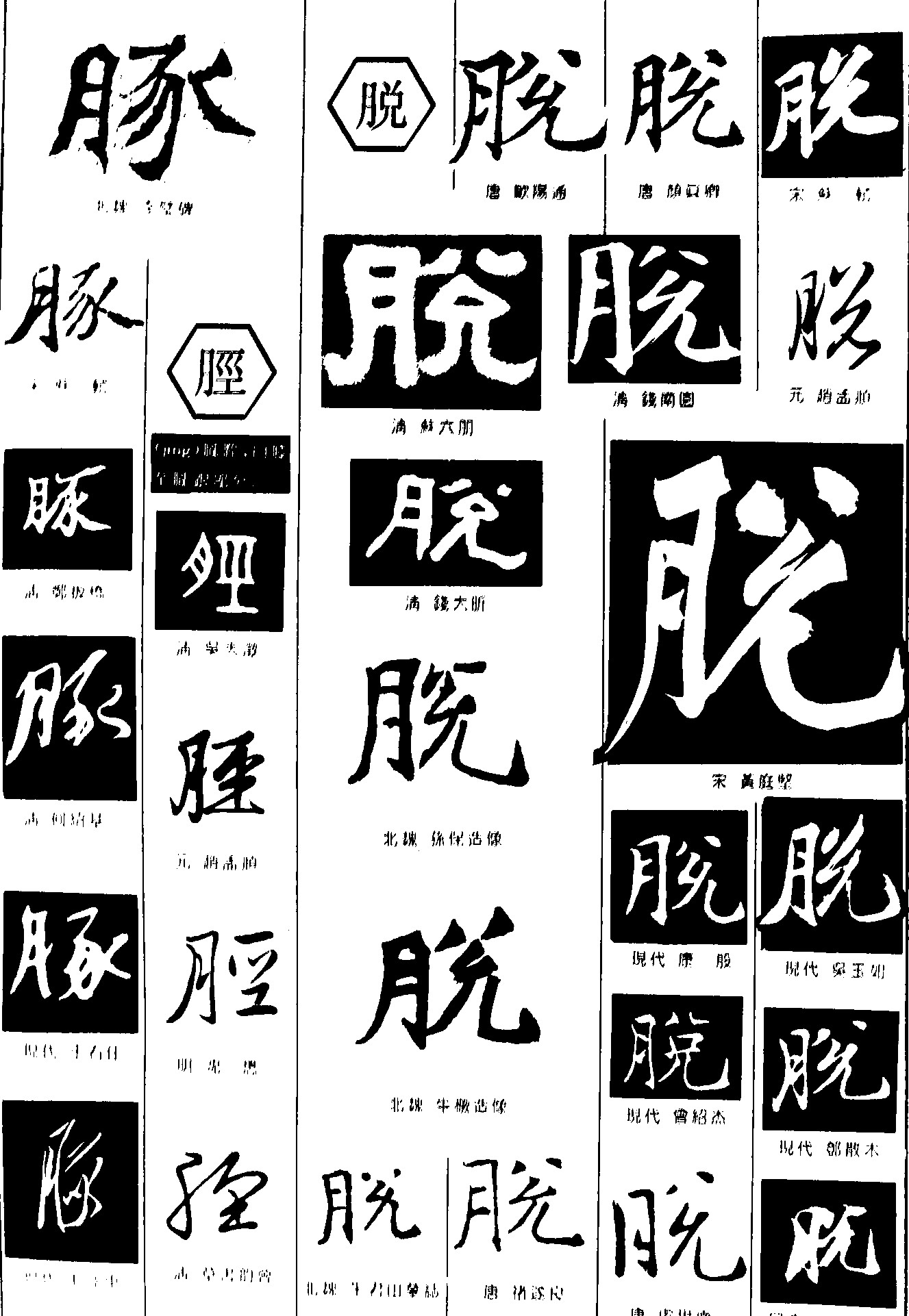 豚脱胫