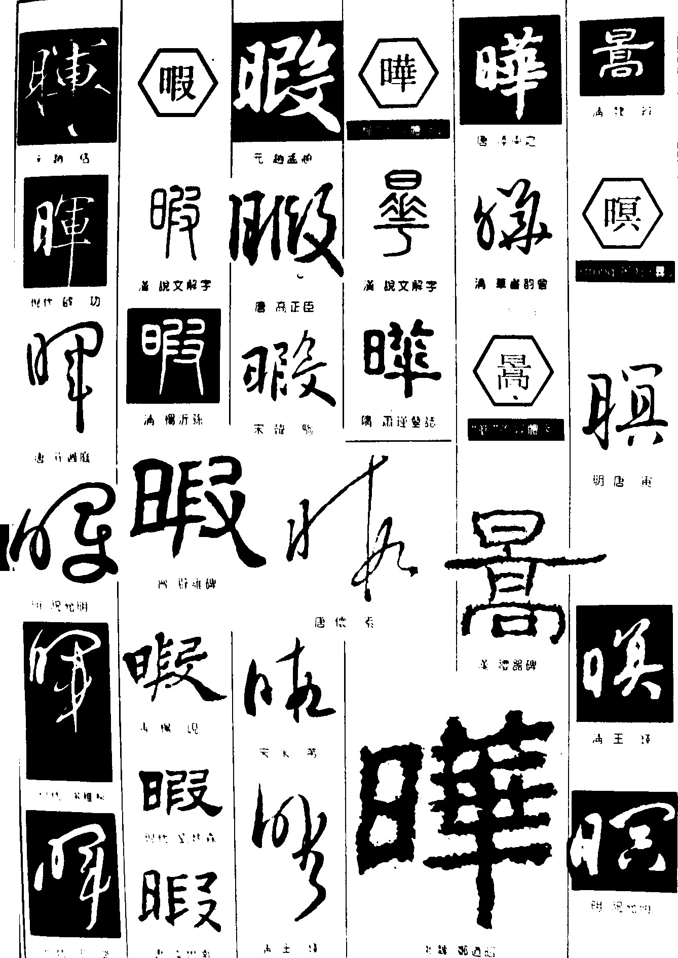 晖暇晔嵩螟