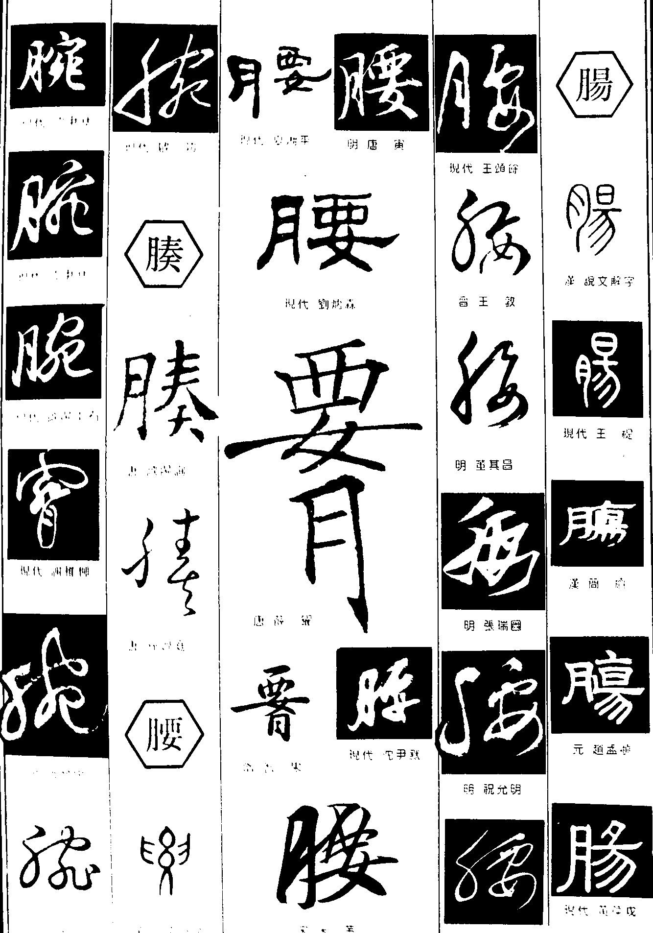 腕腠腰肠