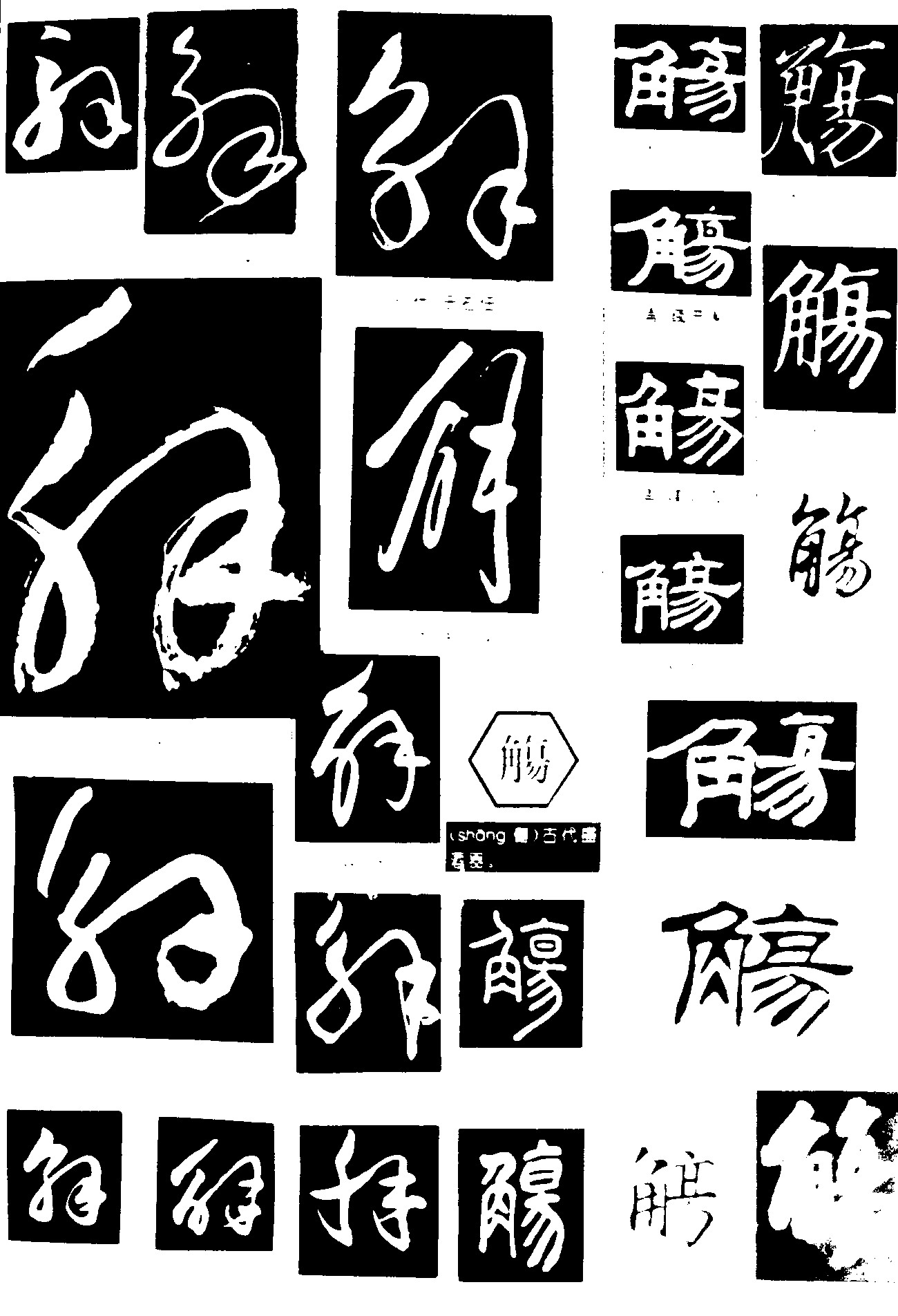 解觞