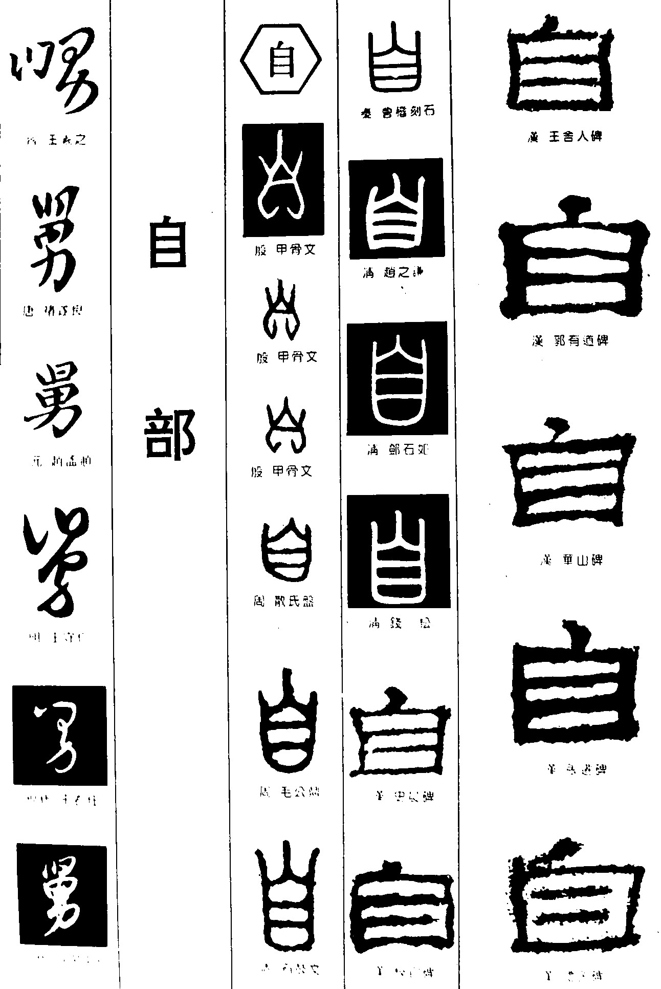 舅自